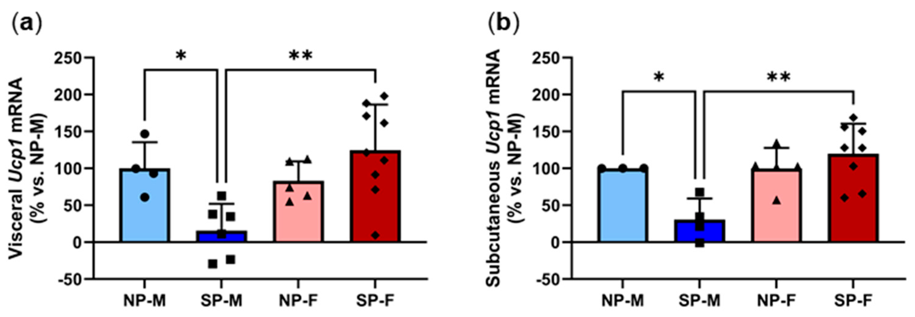Ijms 25 07265 g008 Ijms 25 07265 g008