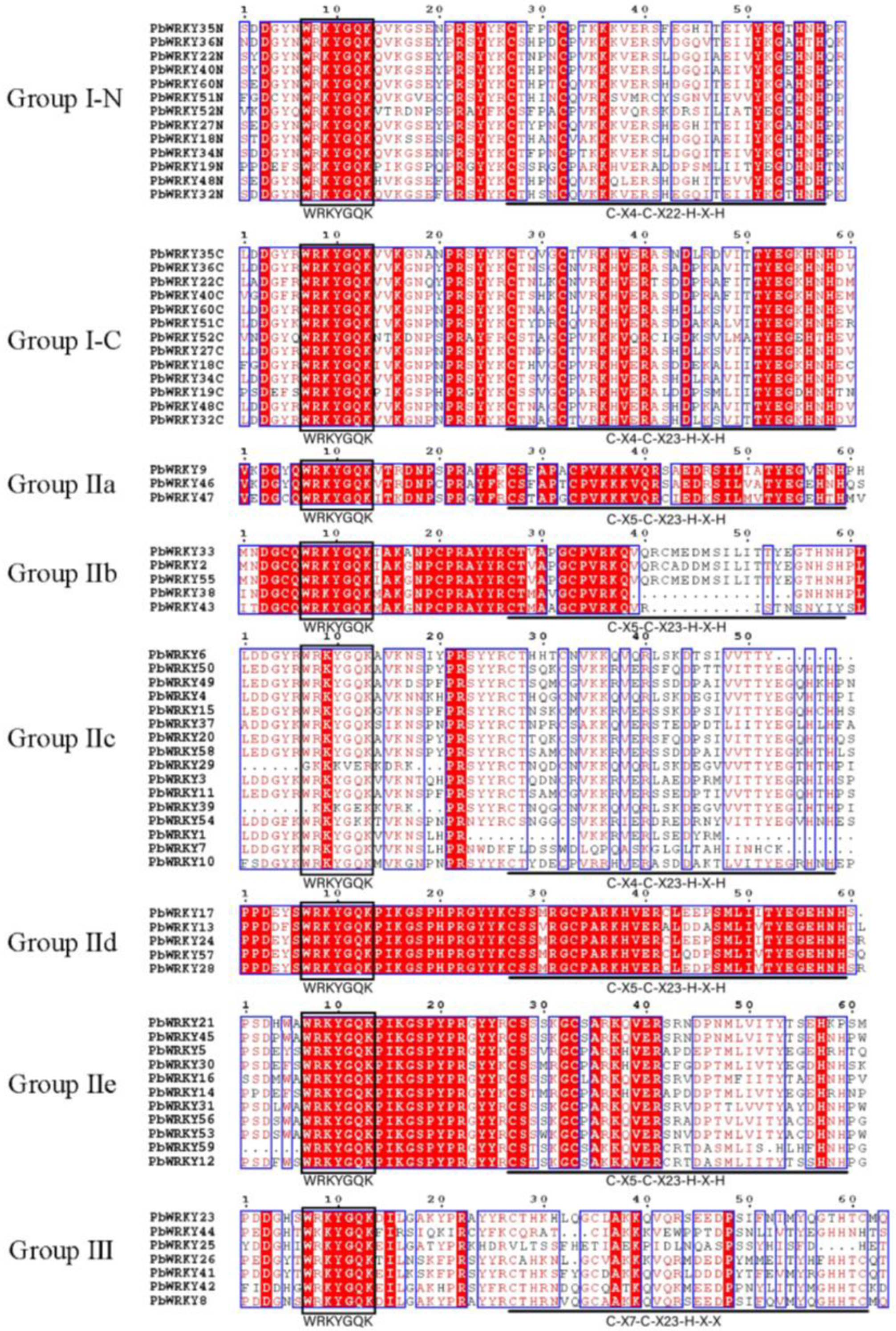 Ijms 25 07280 g002