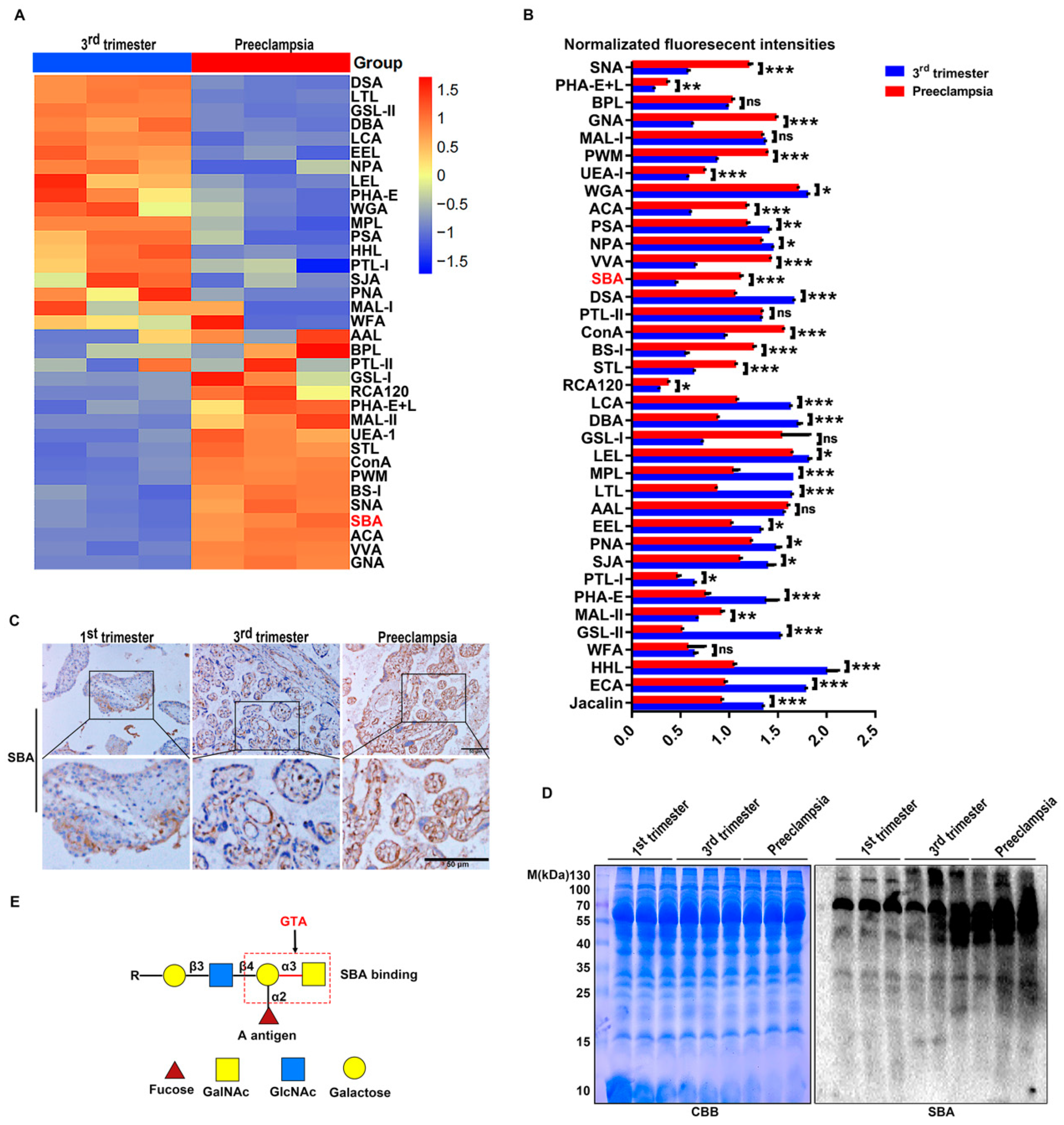 Ijms 25 07287 g001 Ijms 25 07287 g001