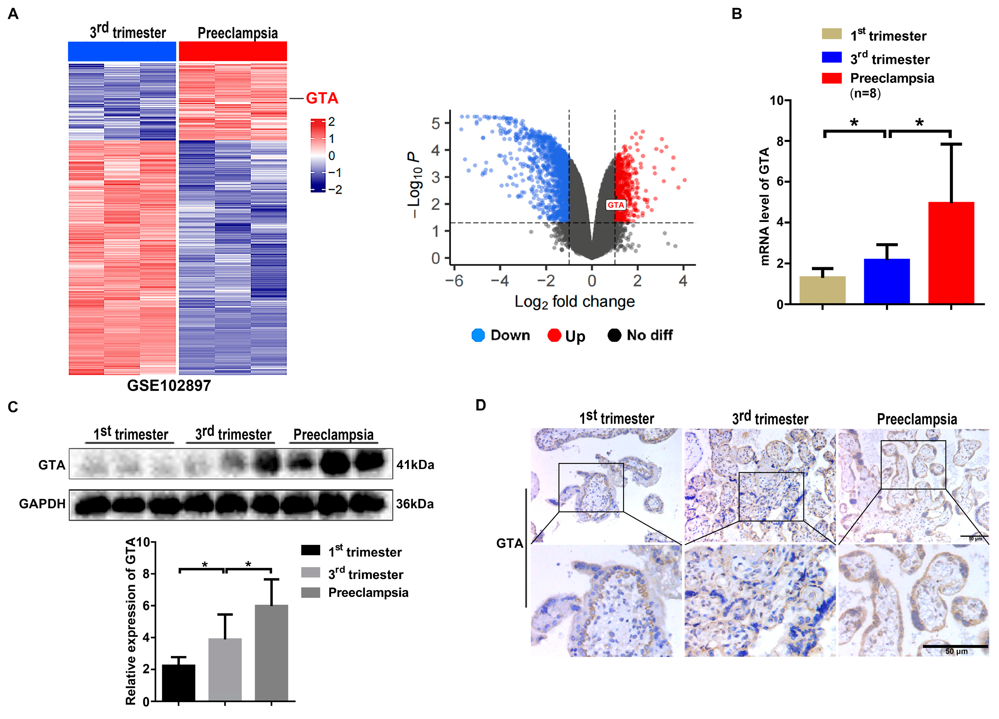 Ijms 25 07287 g002 Ijms 25 07287 g002