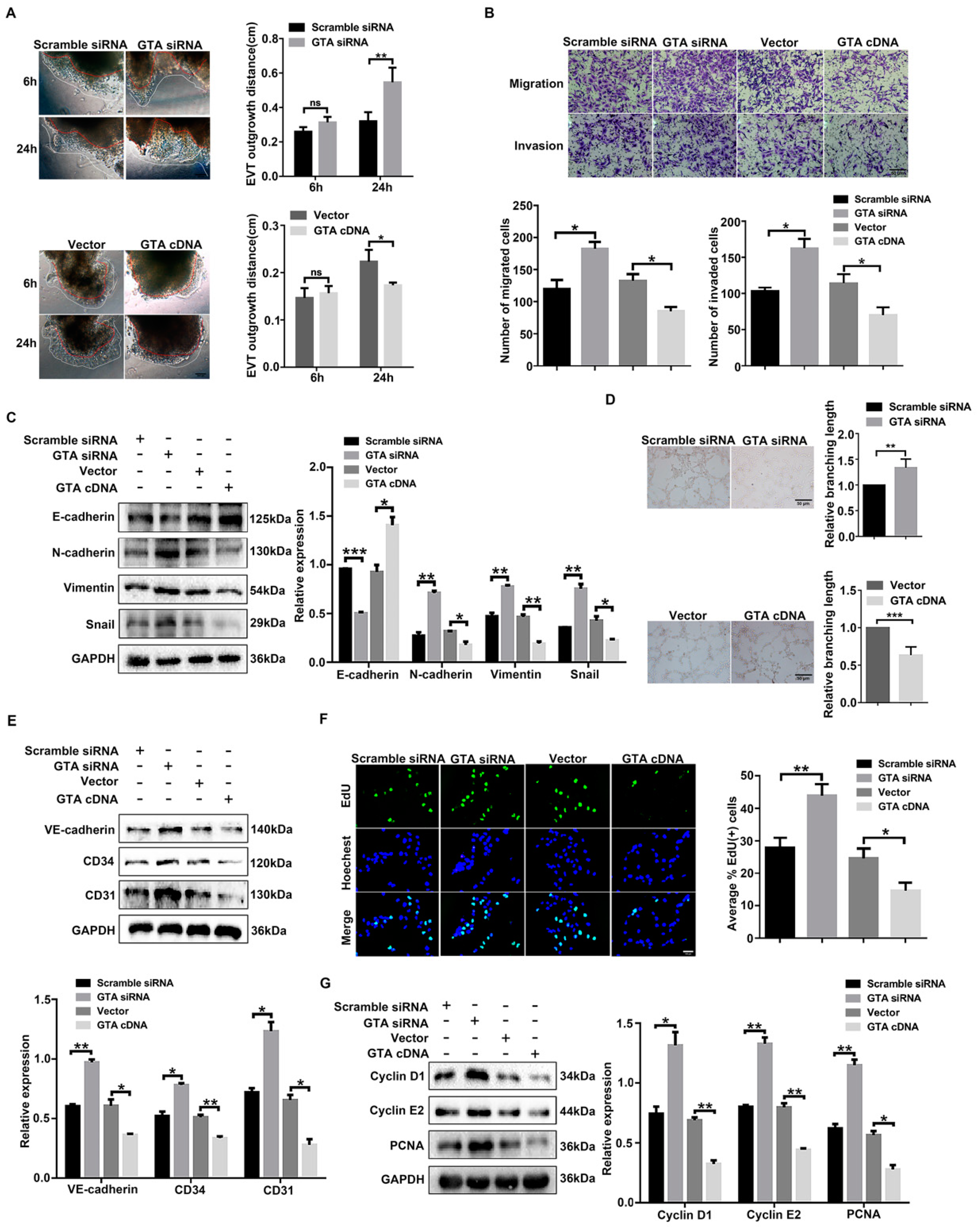 Ijms 25 07287 g004 Ijms 25 07287 g004