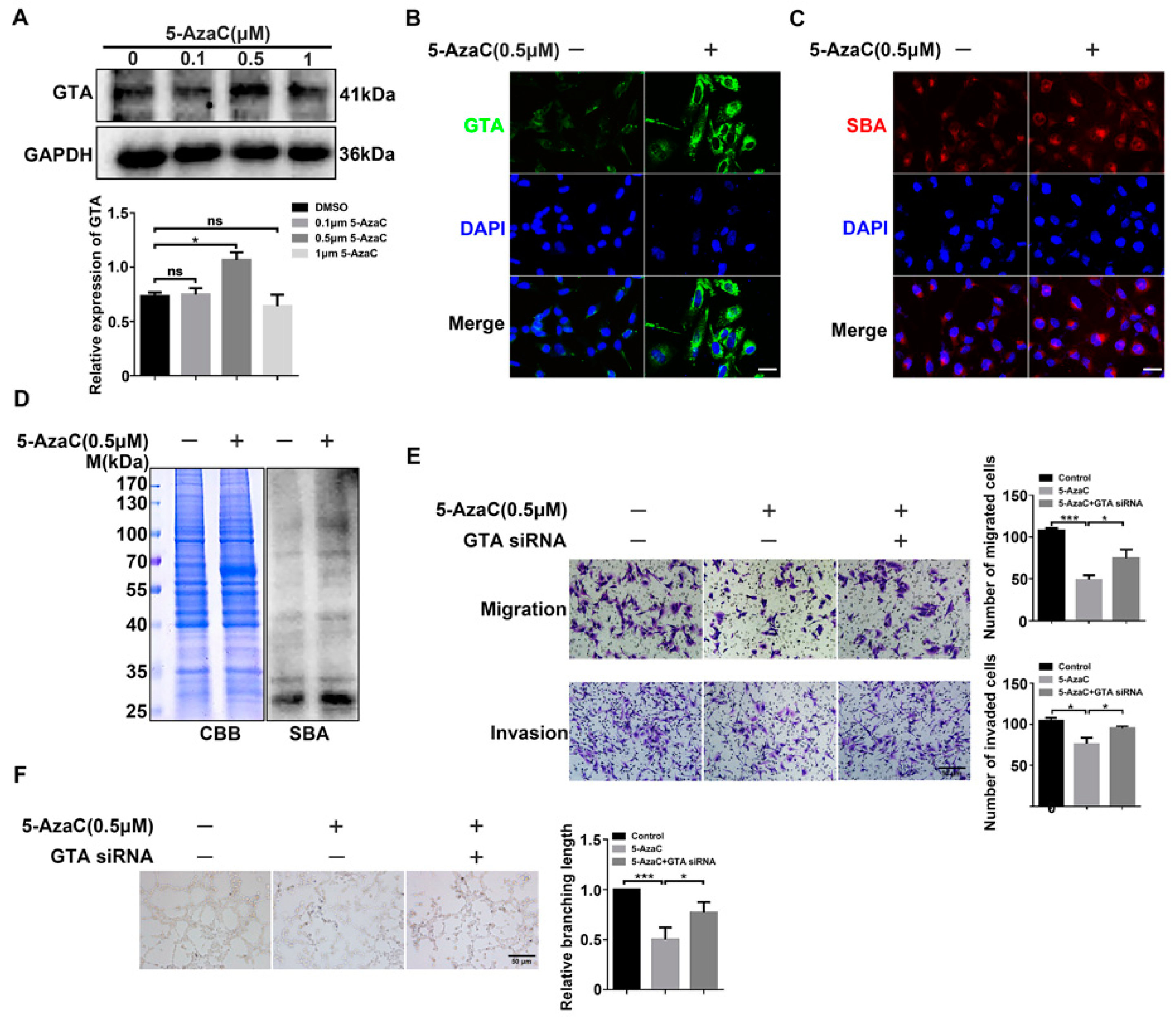 Ijms 25 07287 g006 Ijms 25 07287 g006