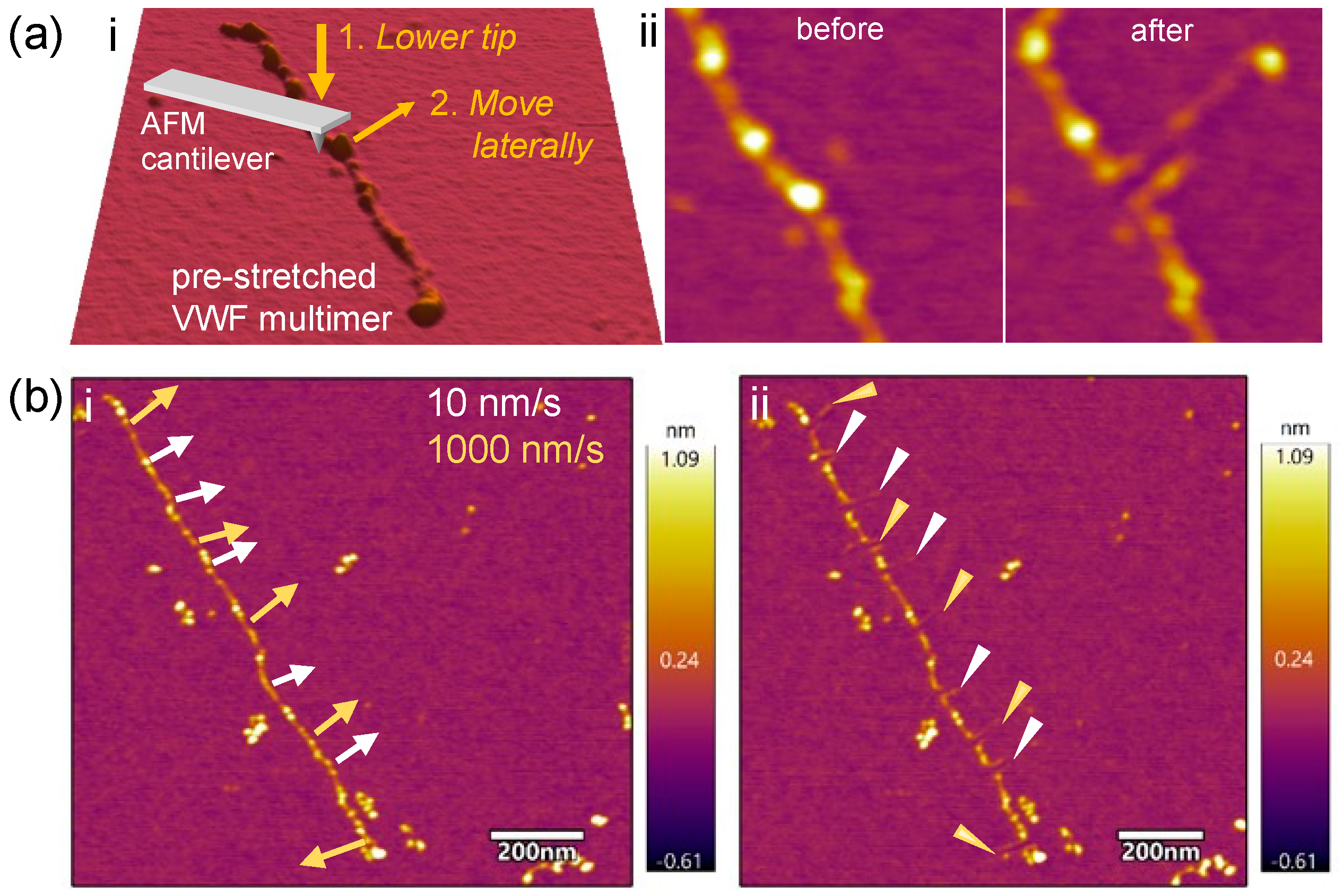 Ijms 25 07296 g002 Ijms 25 07296 g002