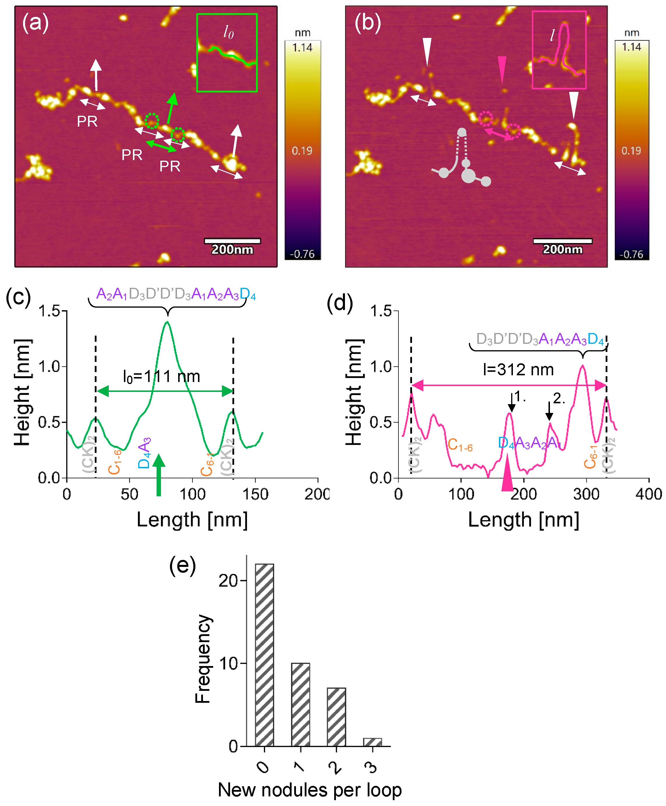 Ijms 25 07296 g004 Ijms 25 07296 g004