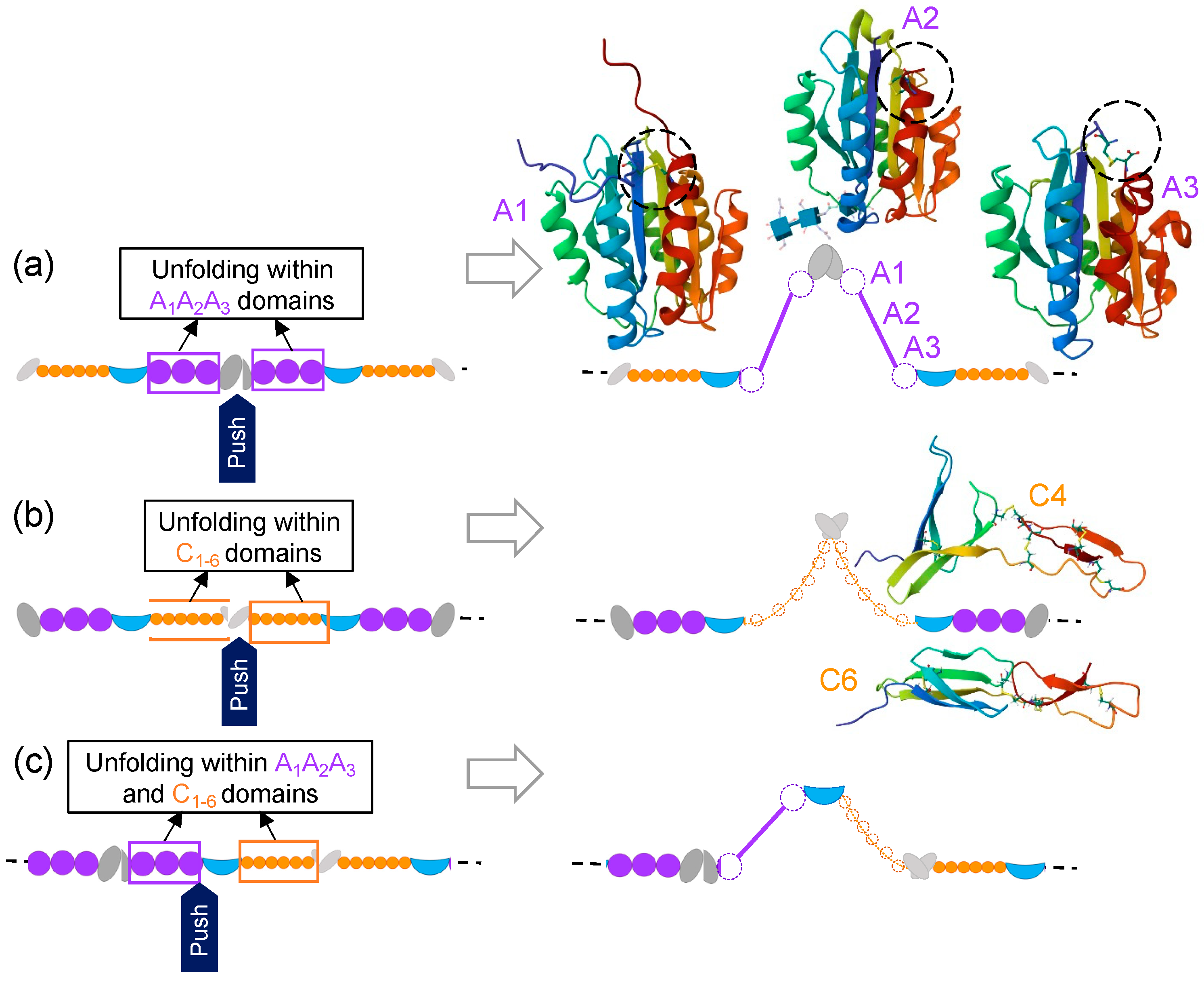 Ijms 25 07296 g005 Ijms 25 07296 g005