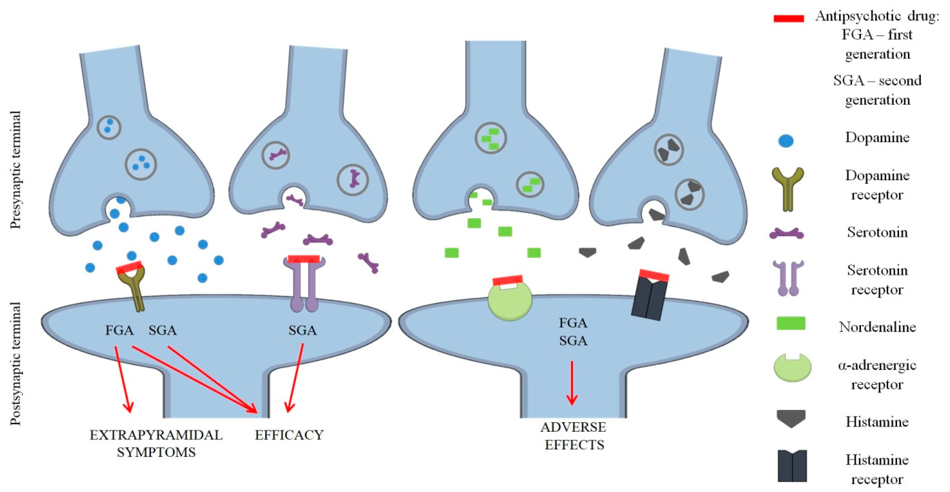 Ijms 25 07304 g001 Ijms 25 07304 g001