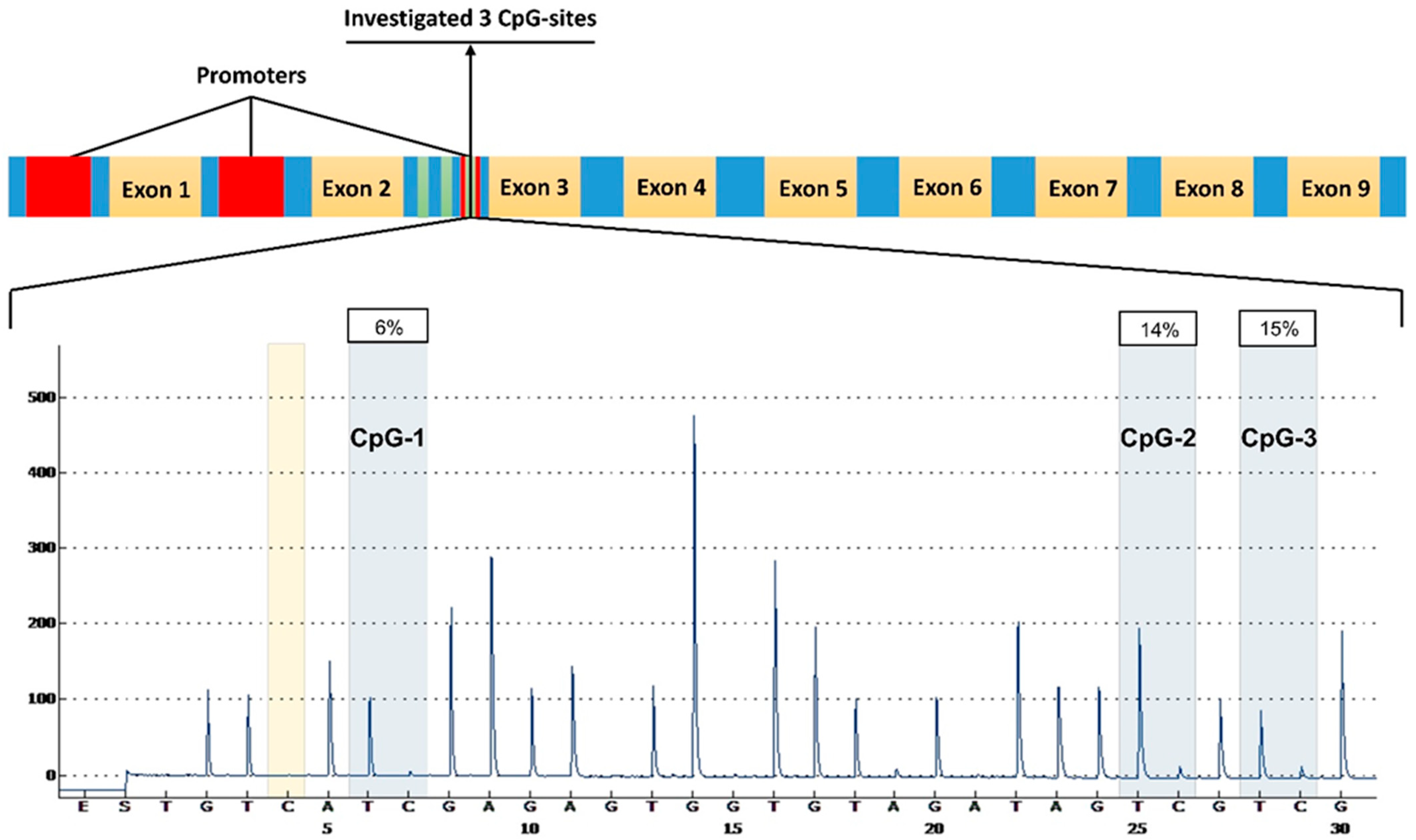 Ijms 25 07312 g001 Ijms 25 07312 g001