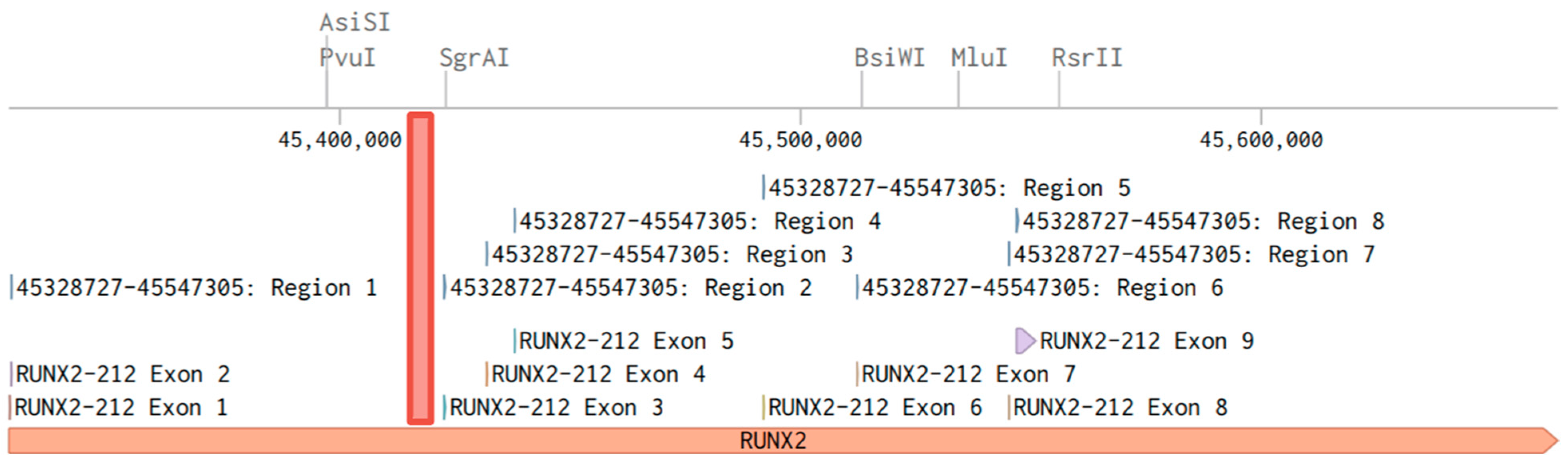 Ijms 25 07312 g004 Ijms 25 07312 g004