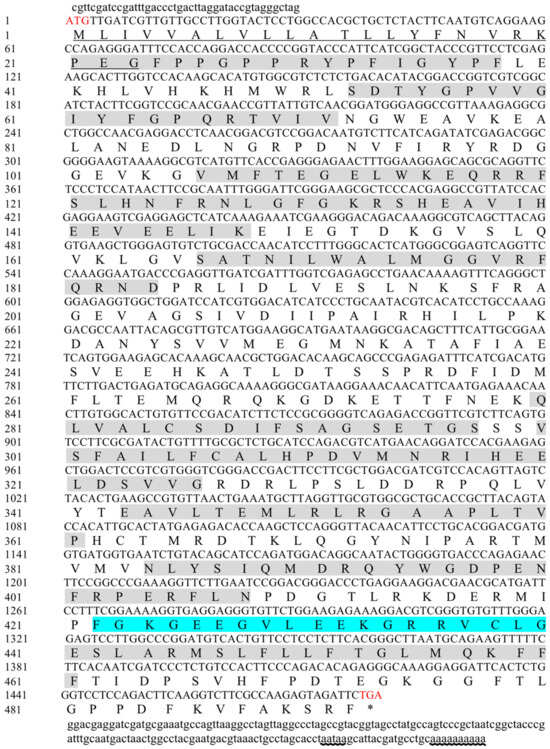 Functional Study of the Role of the Methyl Farnesoate