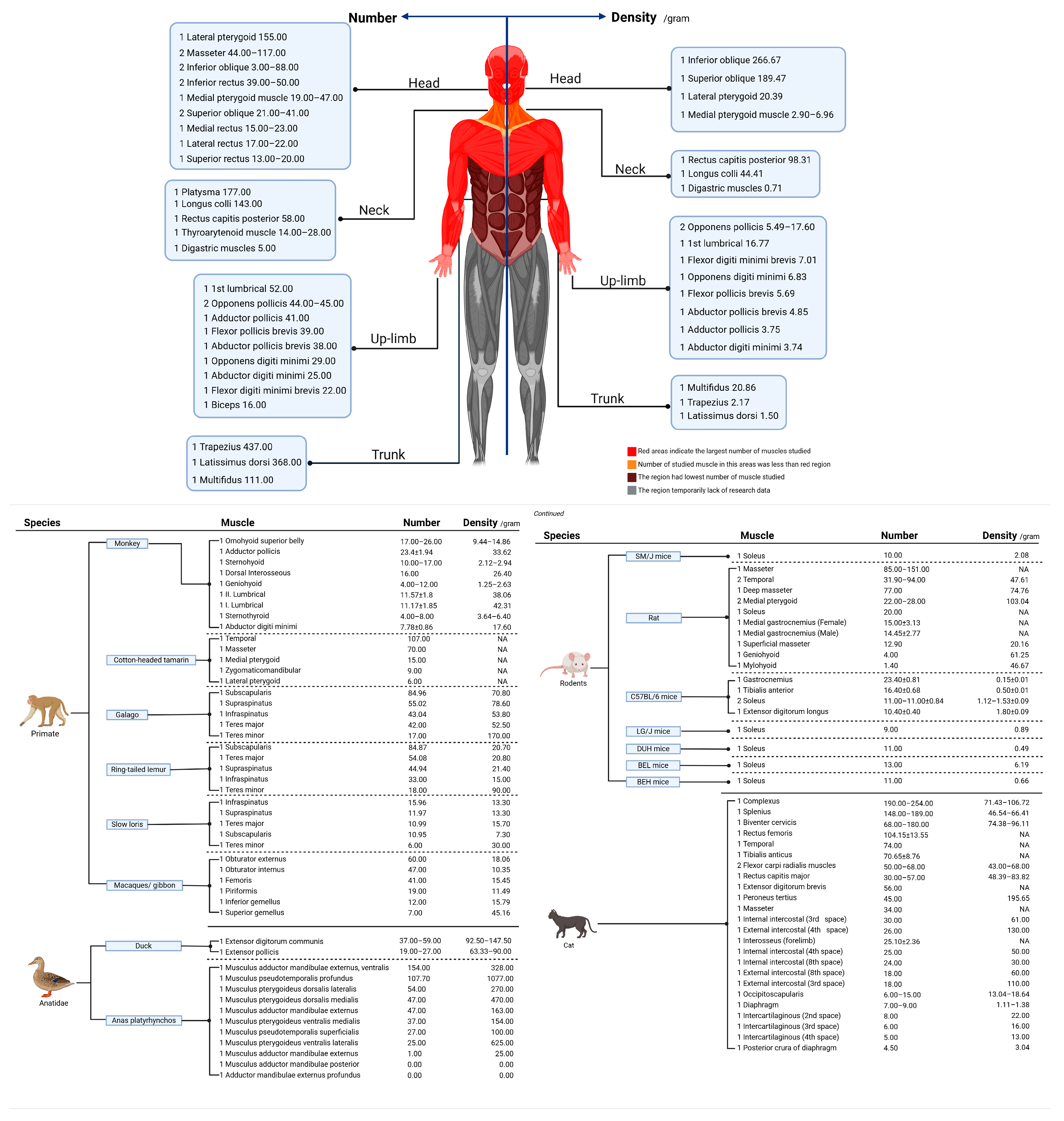 Ijms 25 07320 g005a Ijms 25 07320 g005a