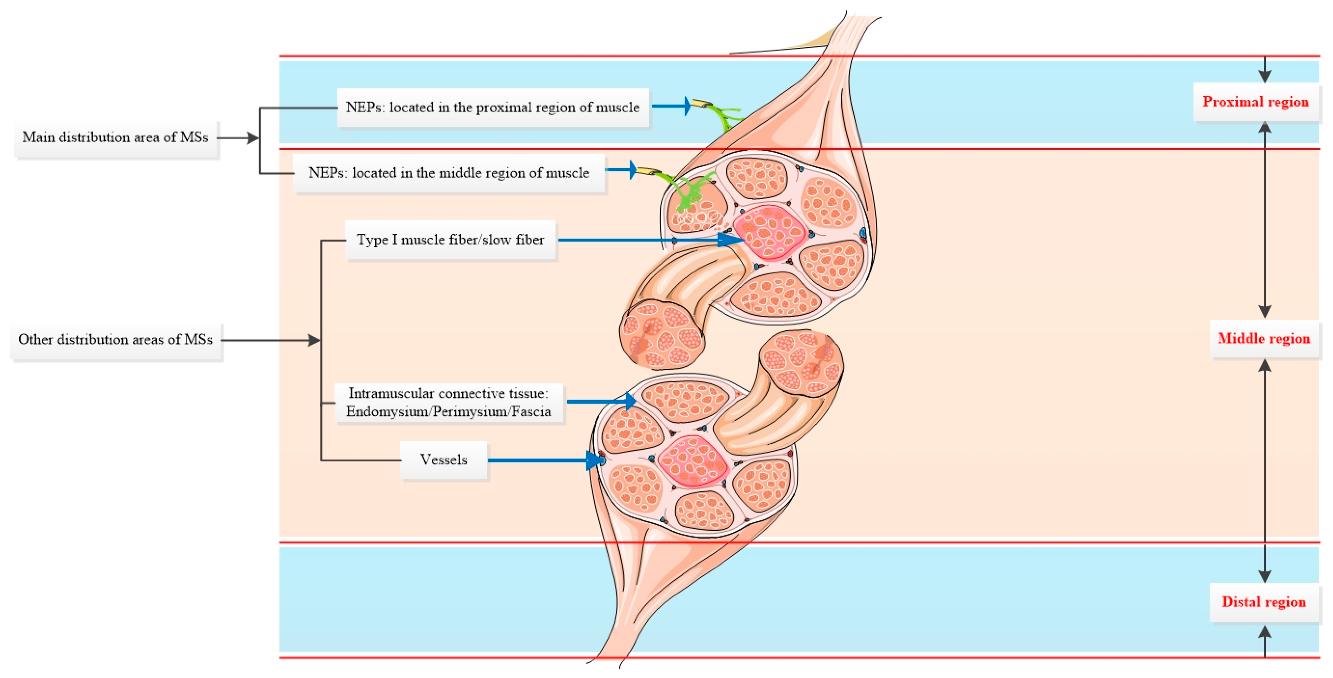 Ijms 25 07320 g006 Ijms 25 07320 g006