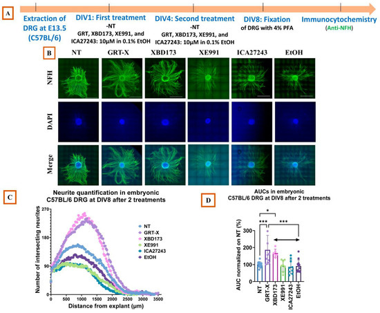 GRT-X Stimulates Dorsal Root Ganglia Axonal Growth in Culture via 