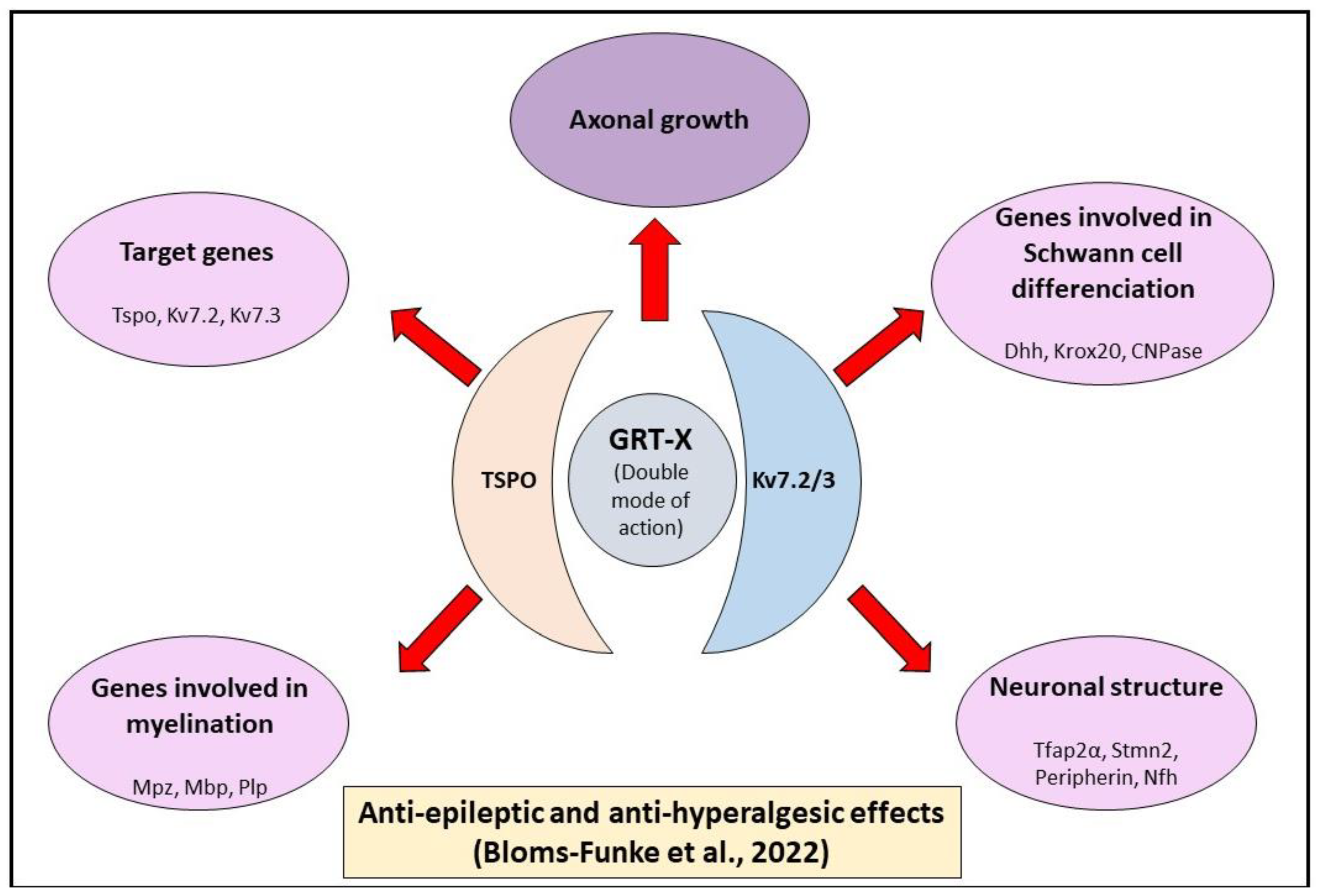 Ijms 25 07327 sch001