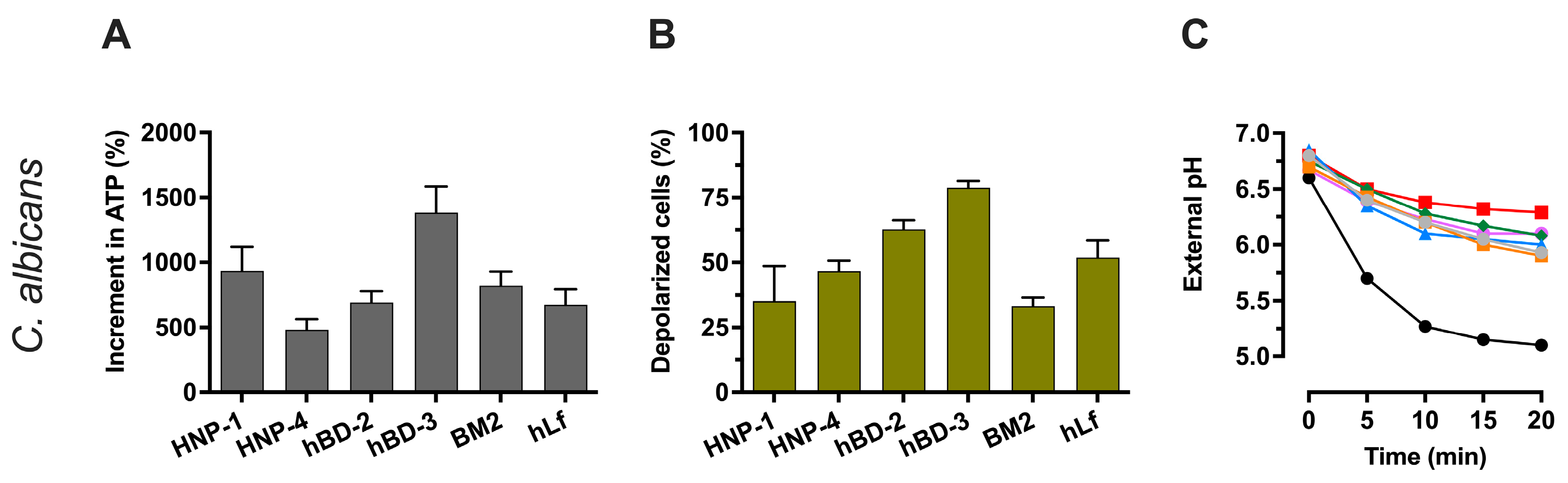 Ijms 25 07335 g004 Ijms 25 07335 g004