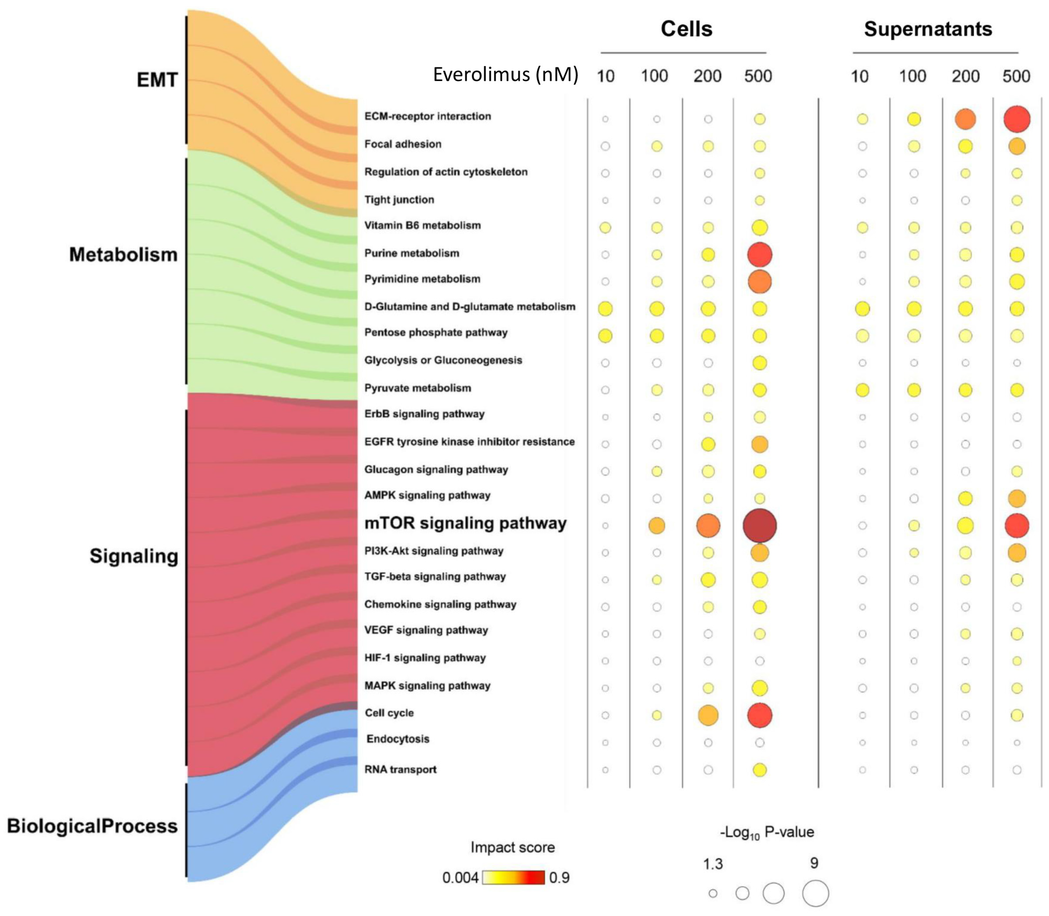 Ijms 25 07336 g002 Ijms 25 07336 g002