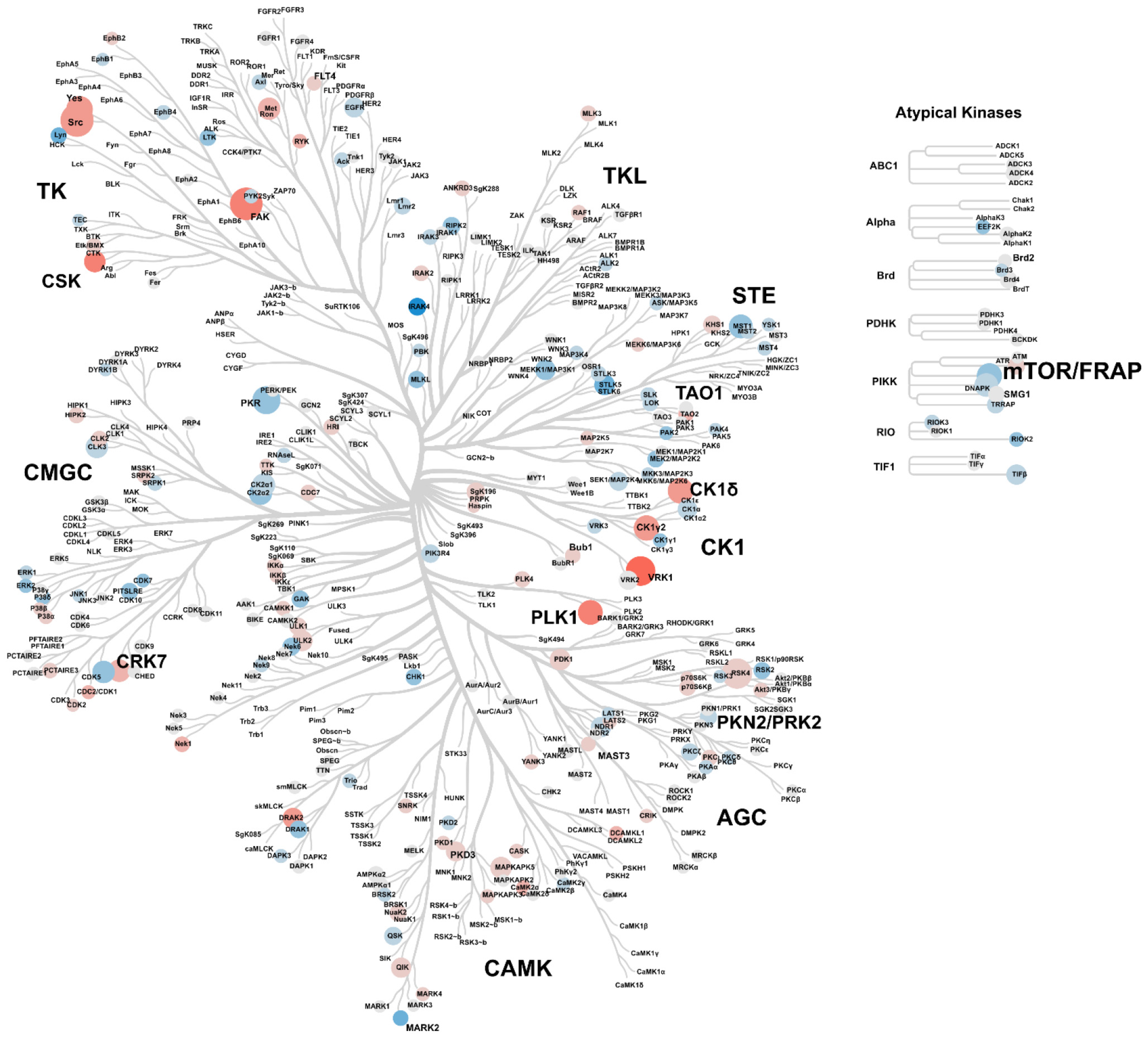 Ijms 25 07336 g003 Ijms 25 07336 g003