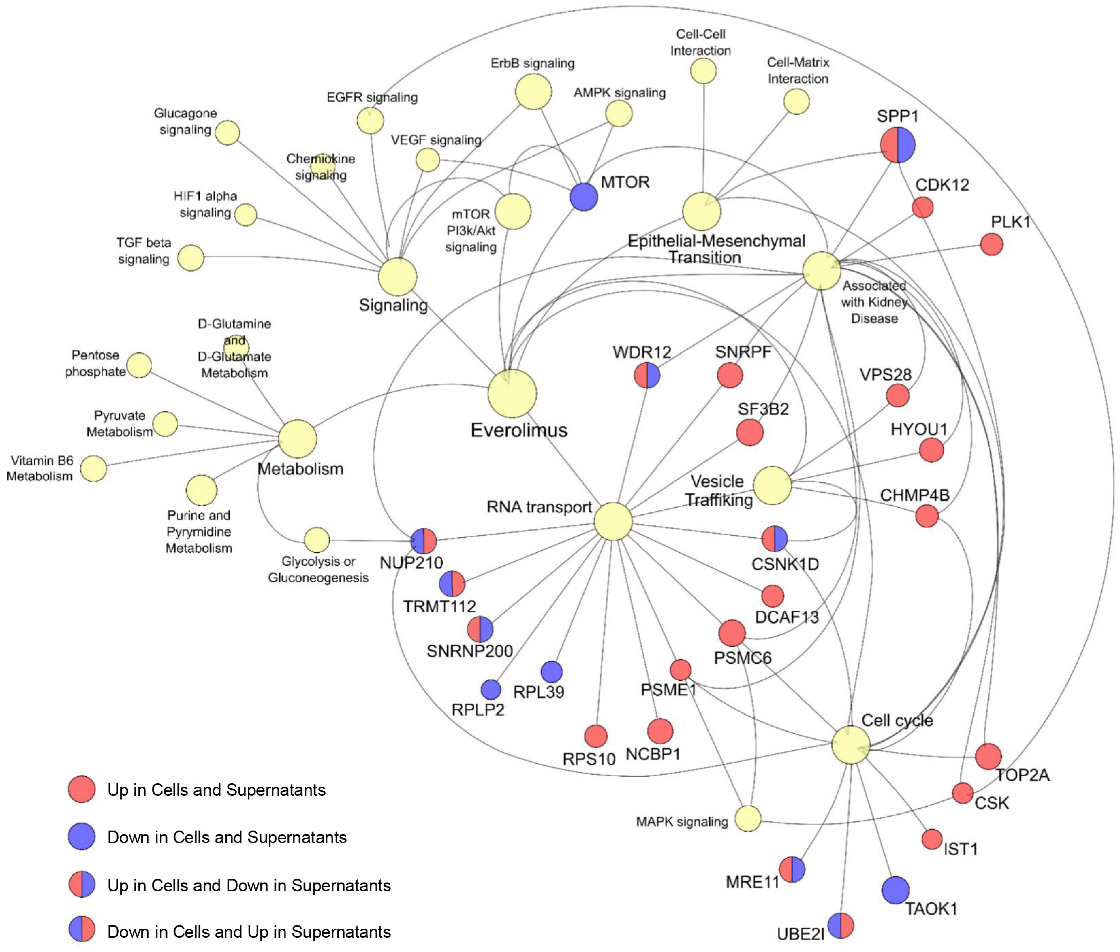 Ijms 25 07336 g005 Ijms 25 07336 g005
