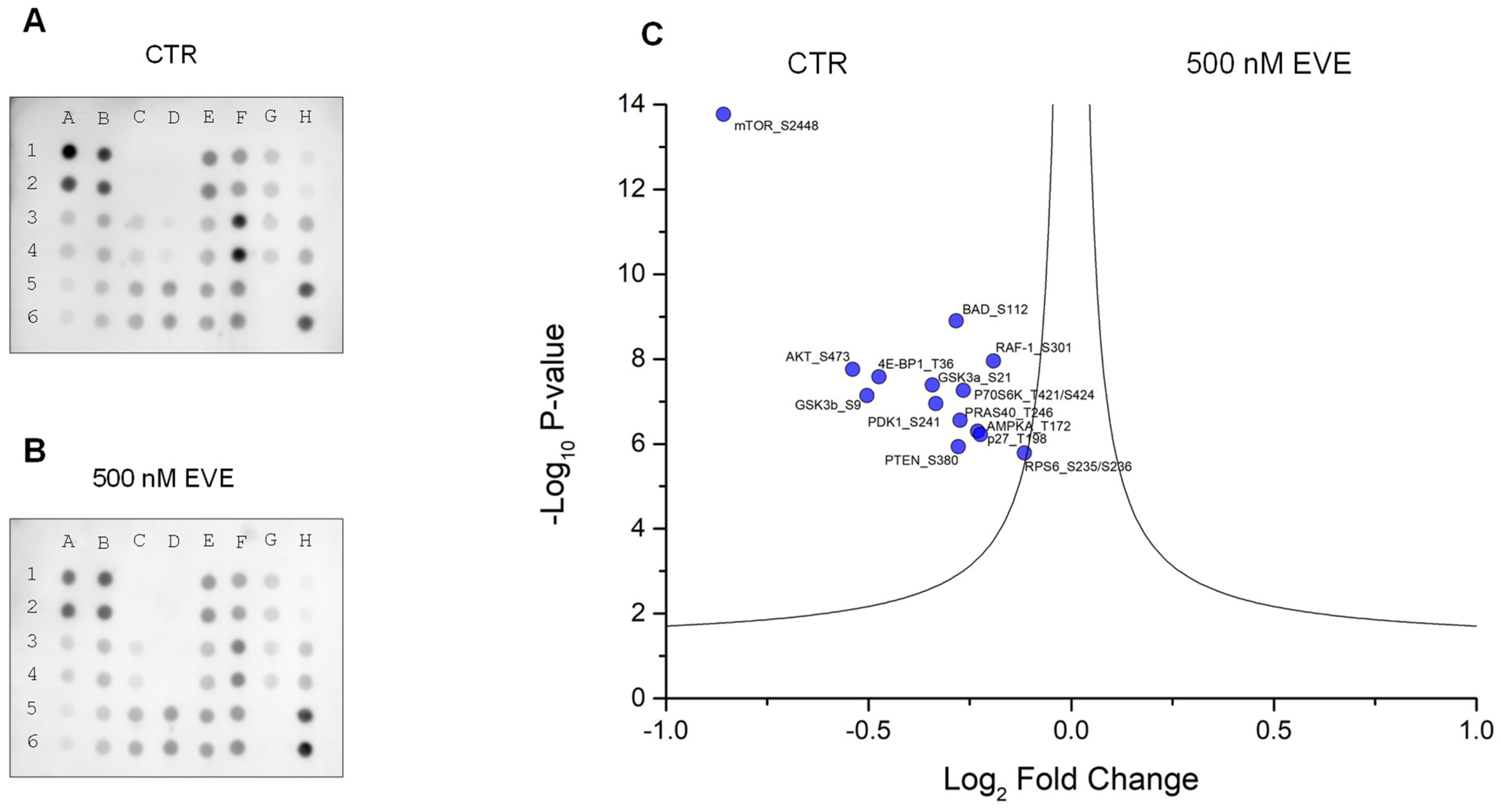 Ijms 25 07336 g006 Ijms 25 07336 g006
