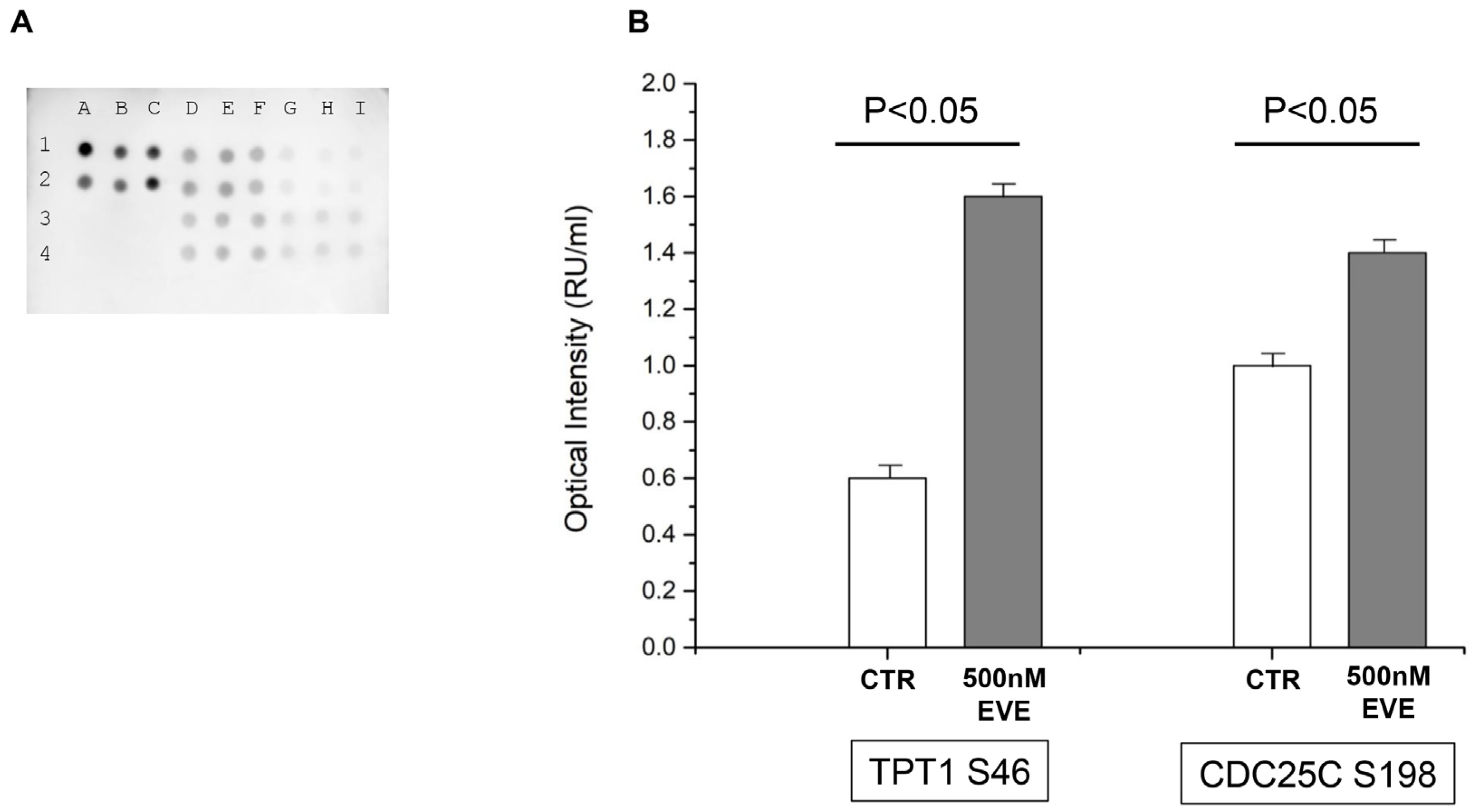 Ijms 25 07336 g007 Ijms 25 07336 g007