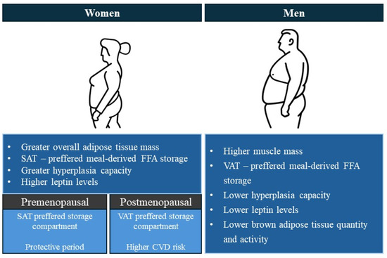 Sex- and Gender-Related Differences in Obesity: From Pathophysiological  Mechanisms to Clinical Implications