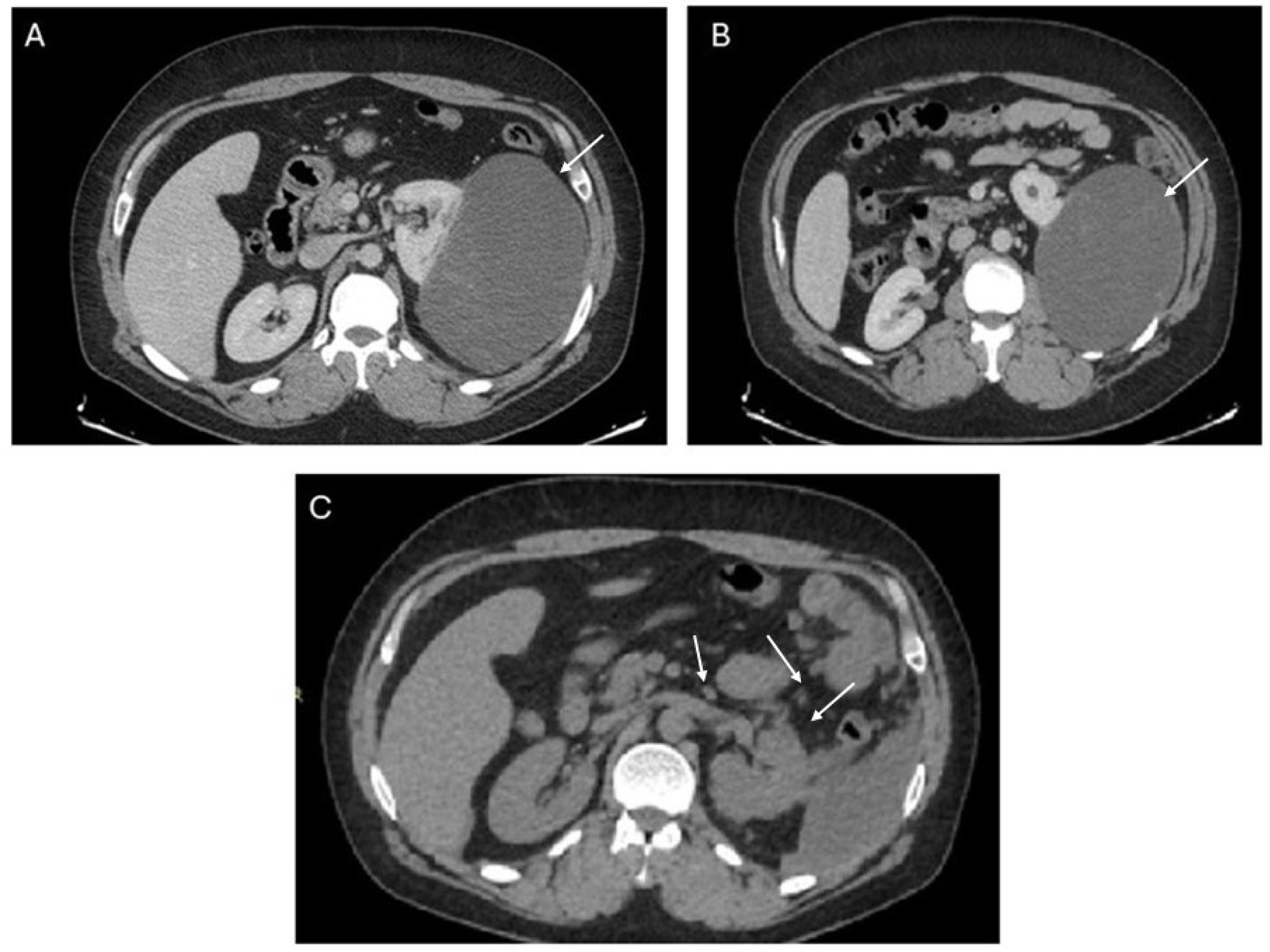 Ijms 25 07382 g001 Ijms 25 07382 g001