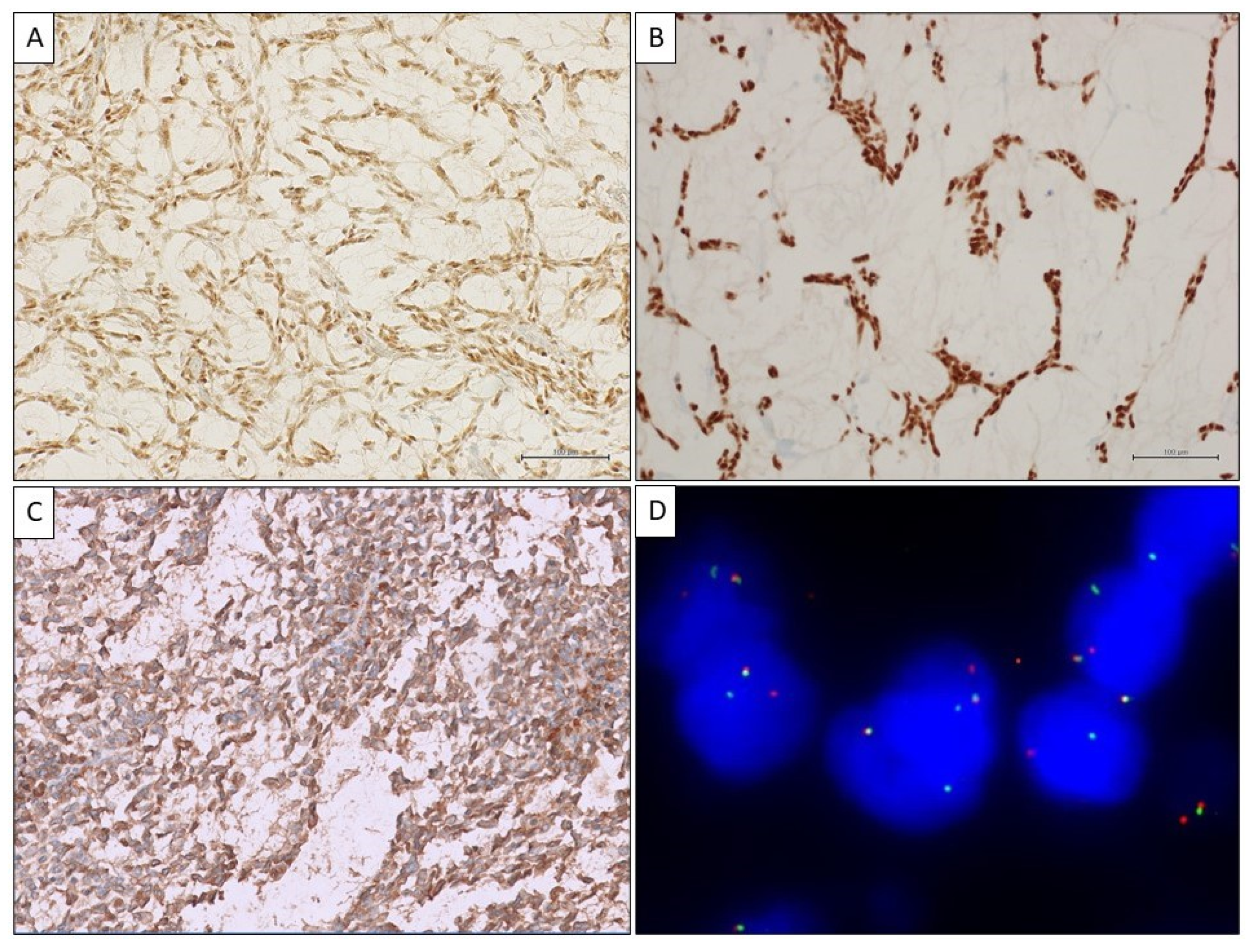 Ijms 25 07382 g004 Ijms 25 07382 g004