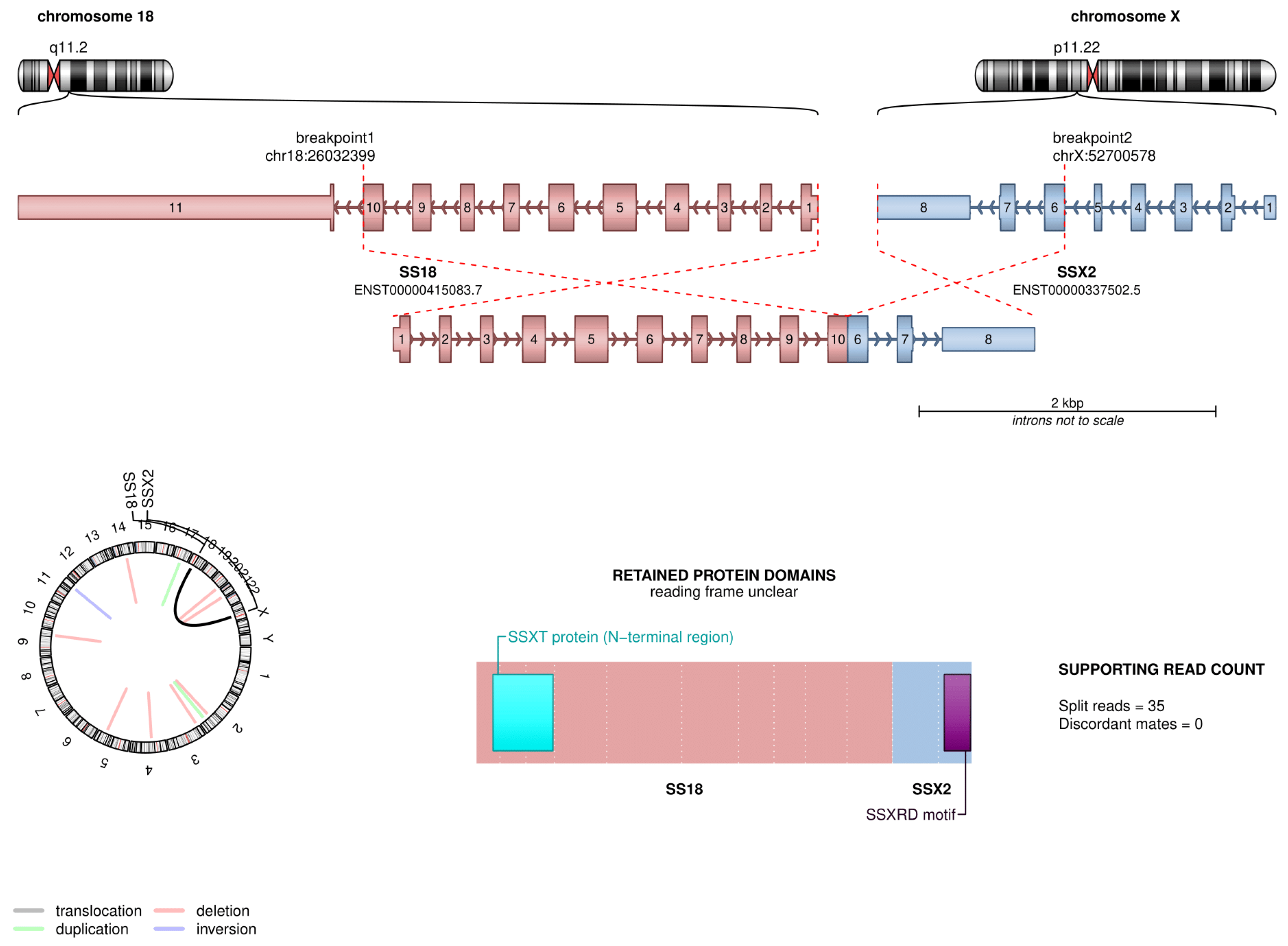 Ijms 25 07382 g005 Ijms 25 07382 g005