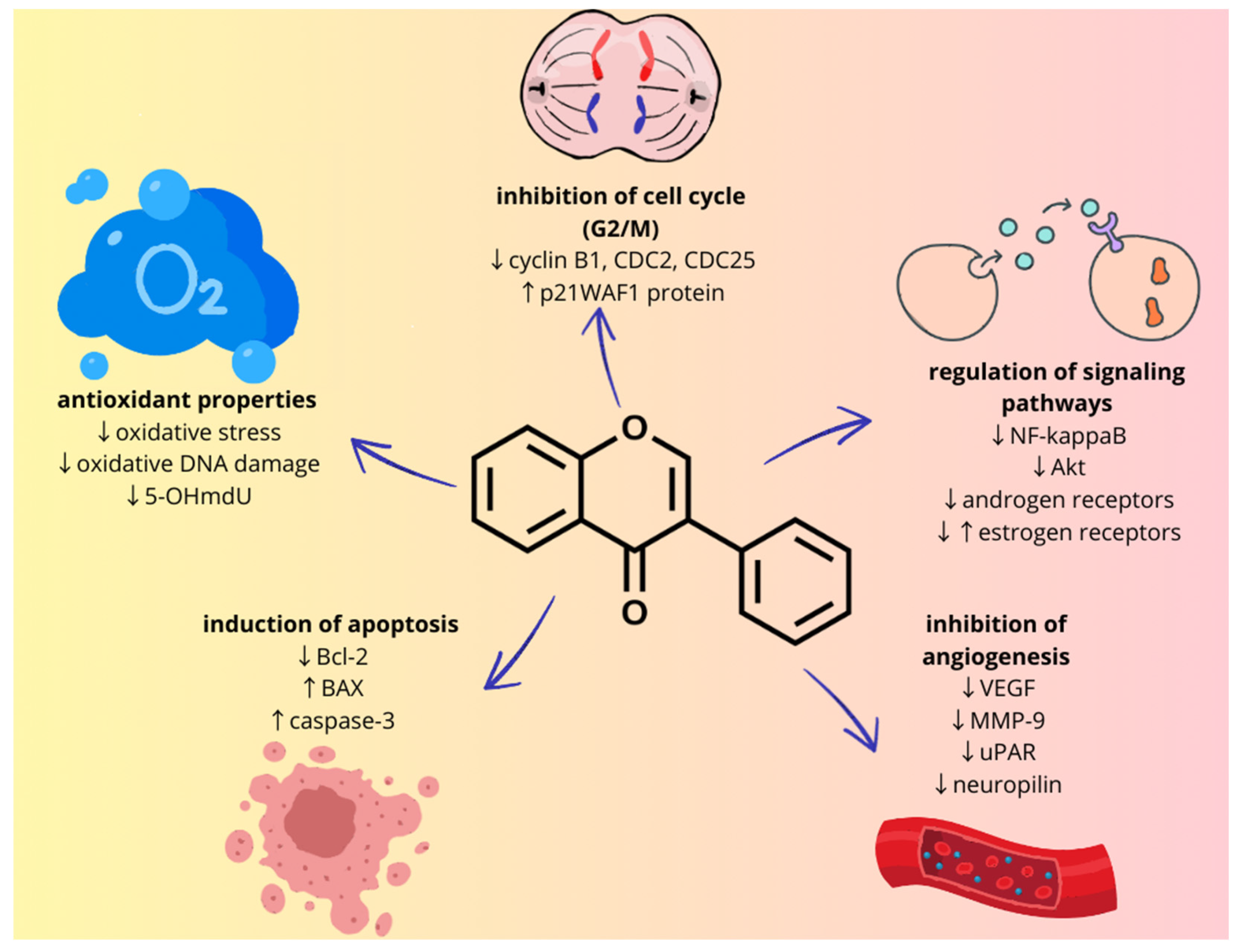 Ijms 25 07389 g002 Ijms 25 07389 g002
