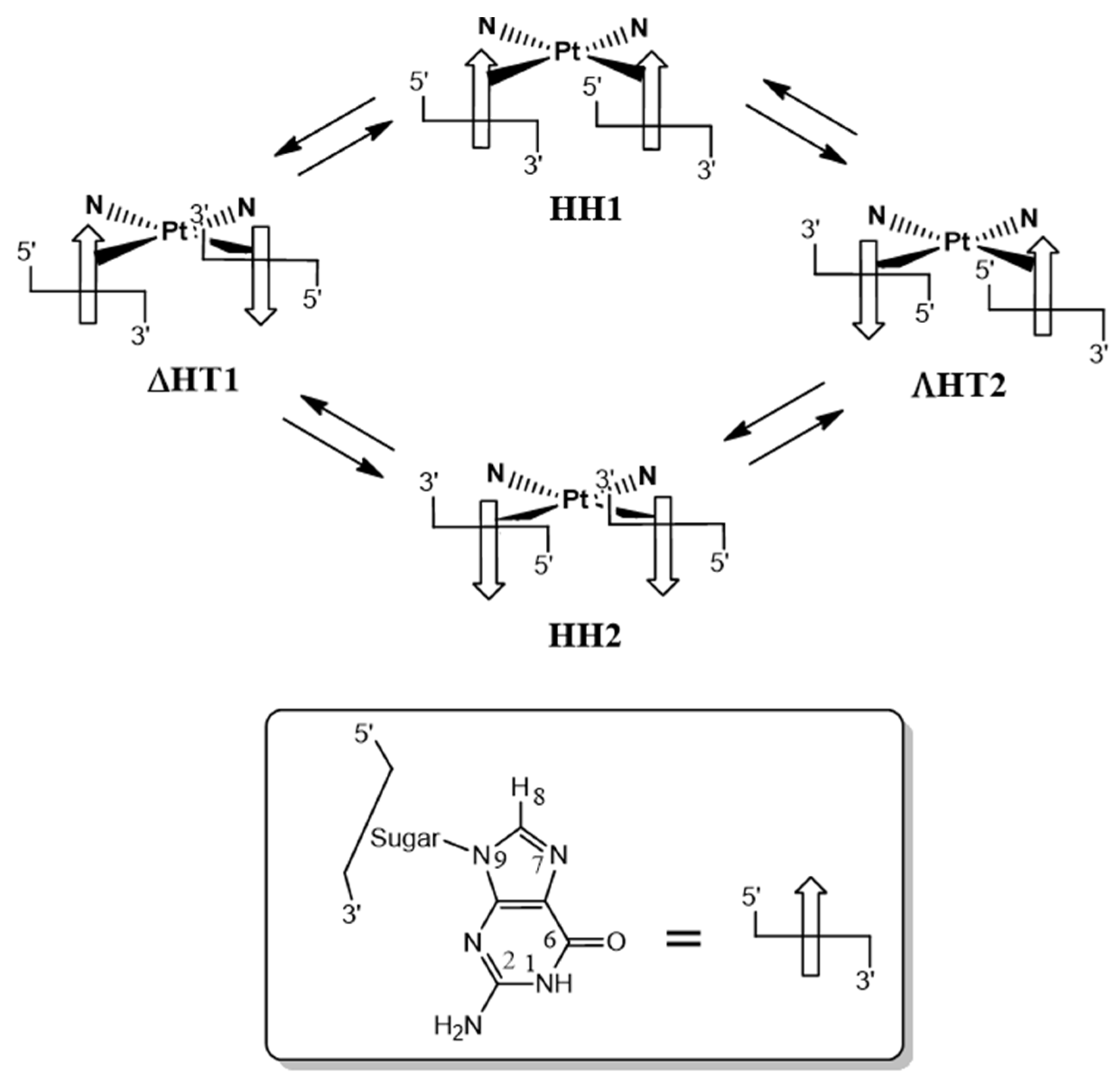Ijms 25 07392 sch001 Ijms 25 07392 sch001