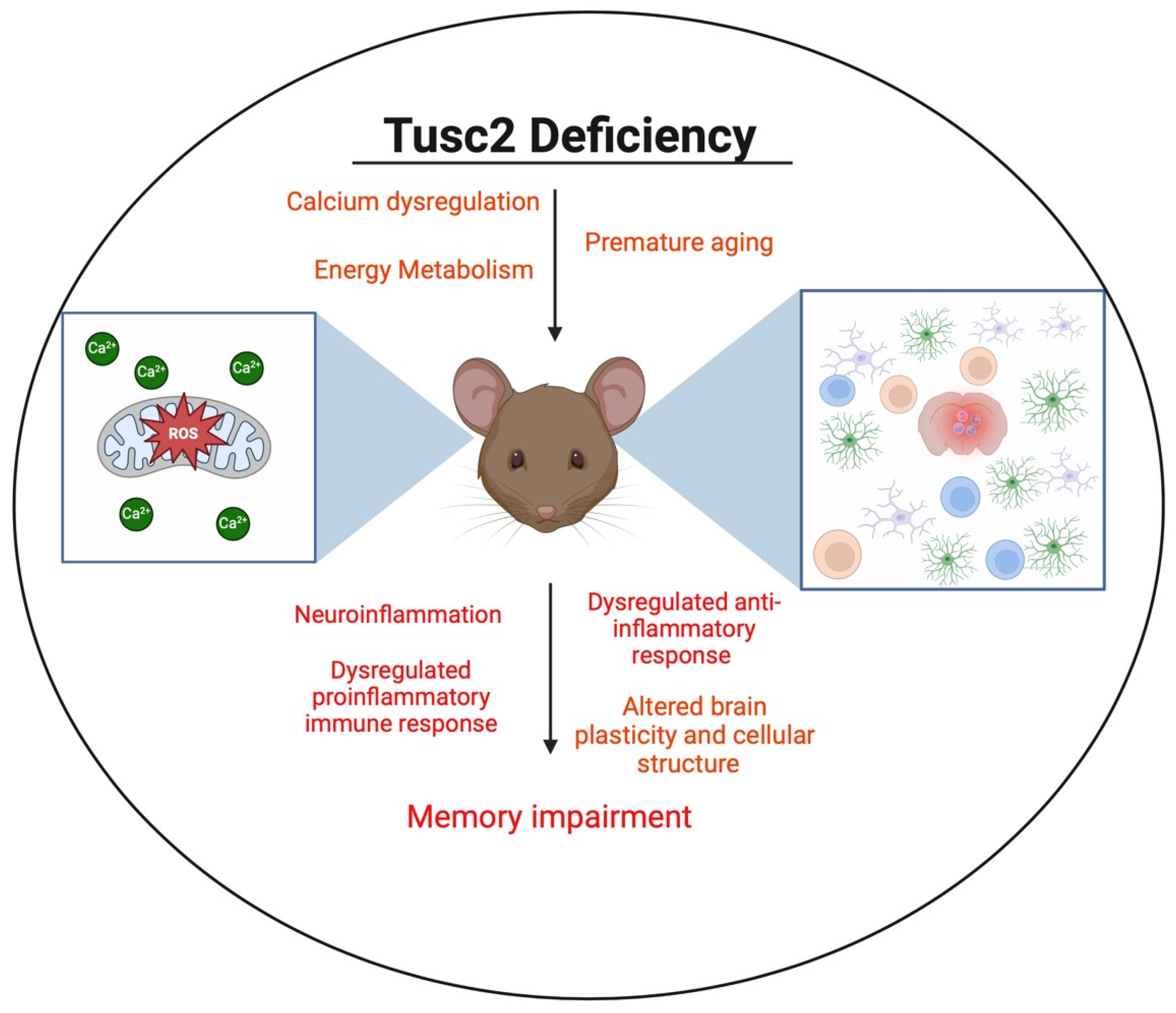 Ijms 25 07406 g001 Ijms 25 07406 g001