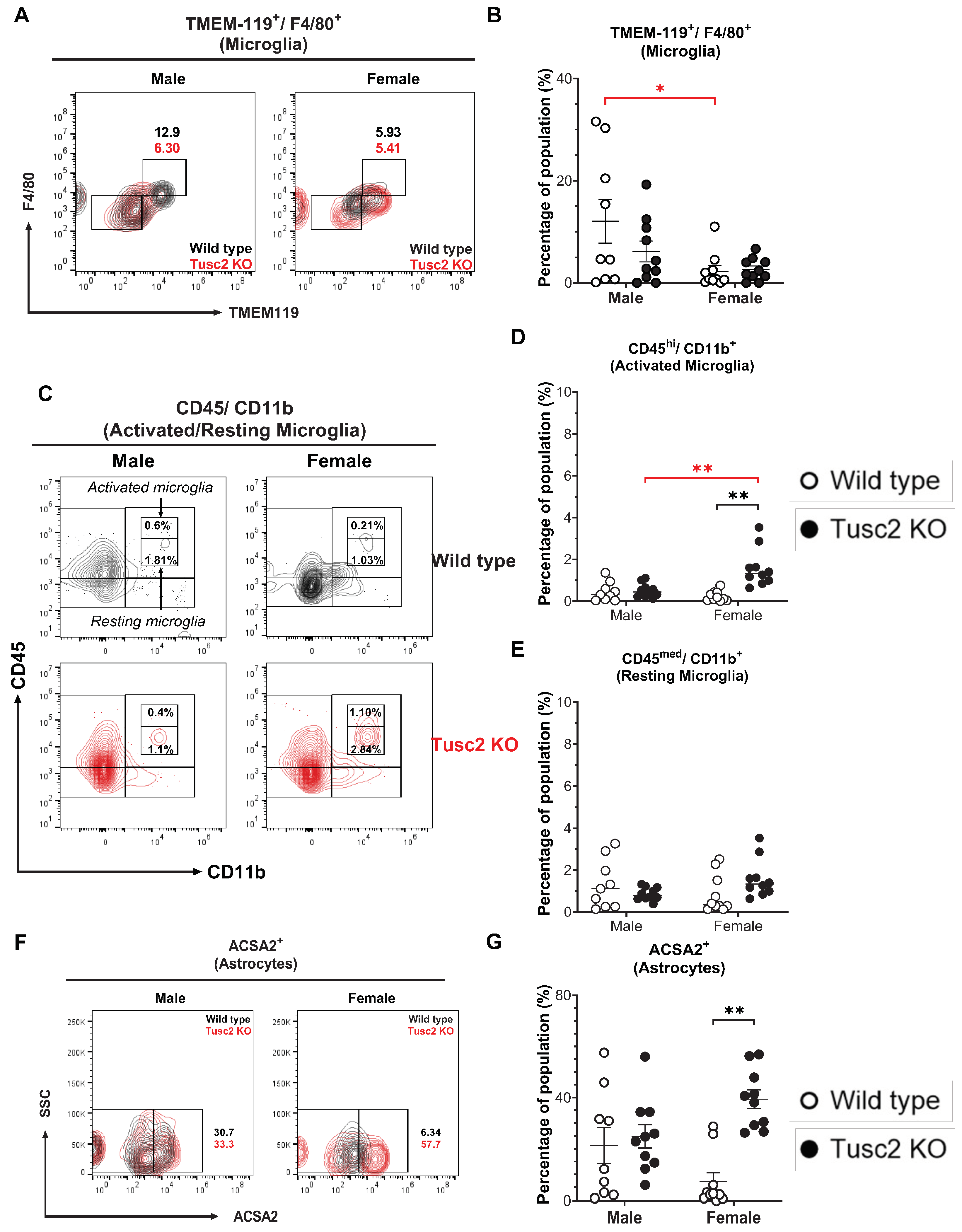 Ijms 25 07406 g003 Ijms 25 07406 g003