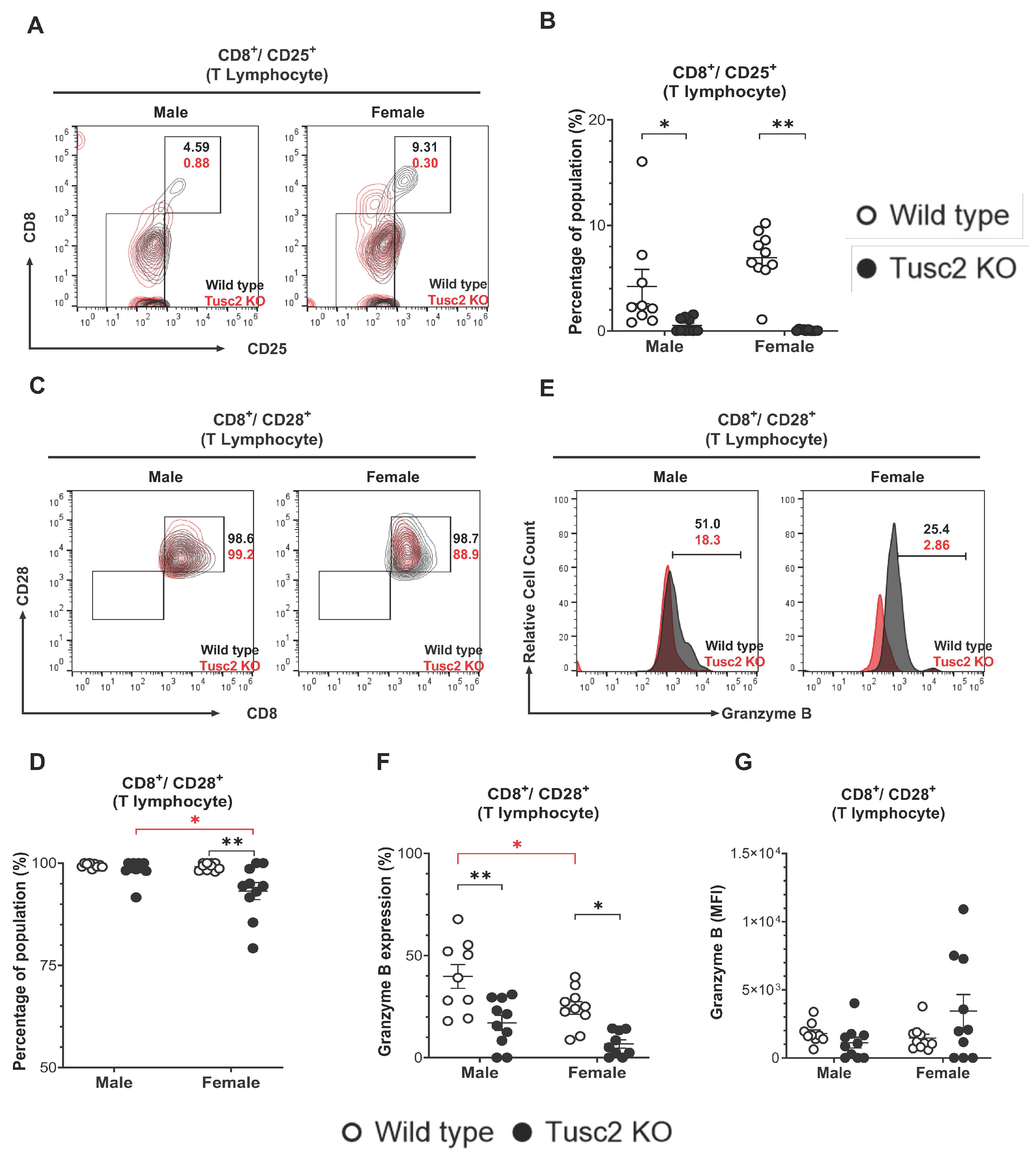 Ijms 25 07406 g005 Ijms 25 07406 g005