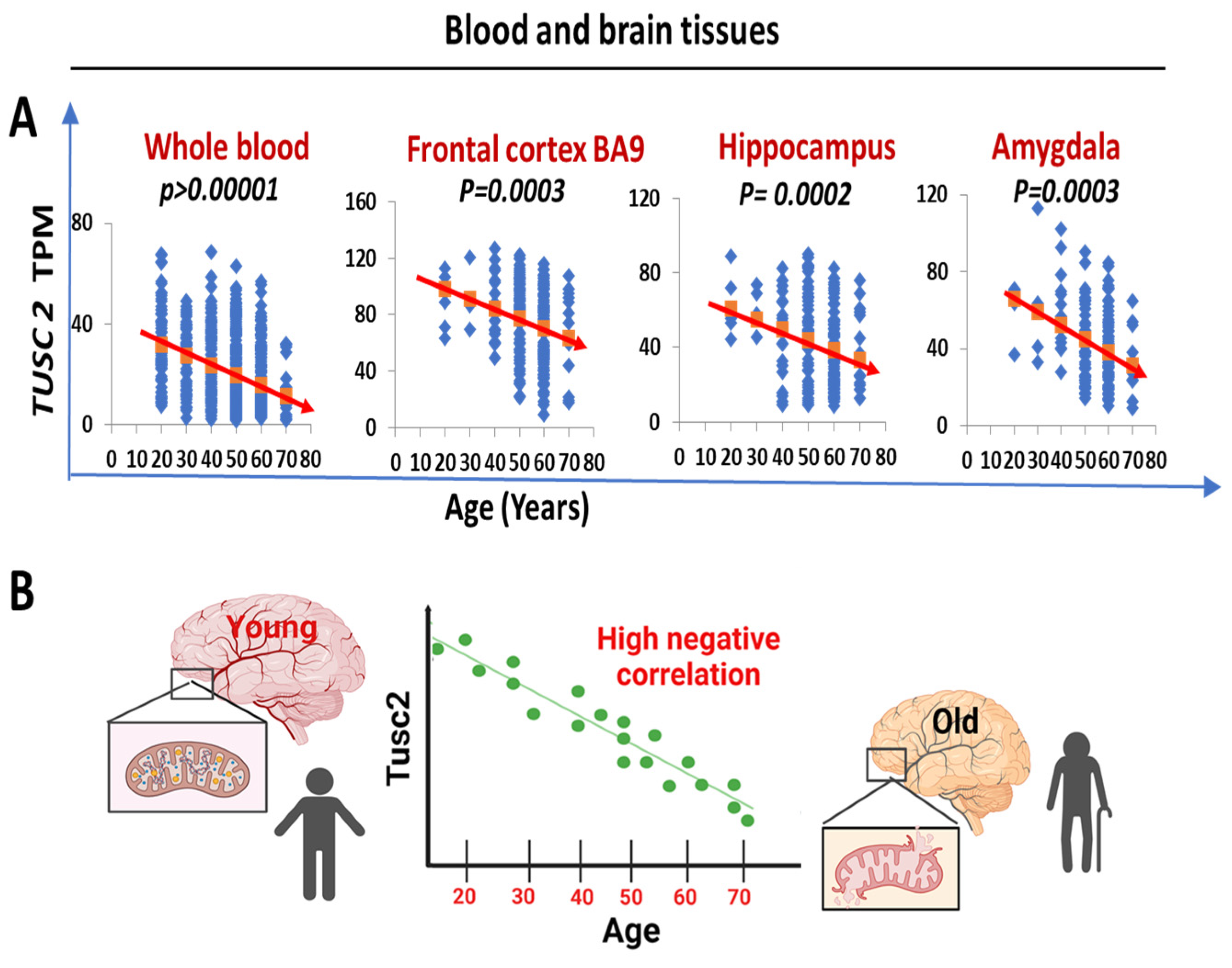 Ijms 25 07406 g009 Ijms 25 07406 g009