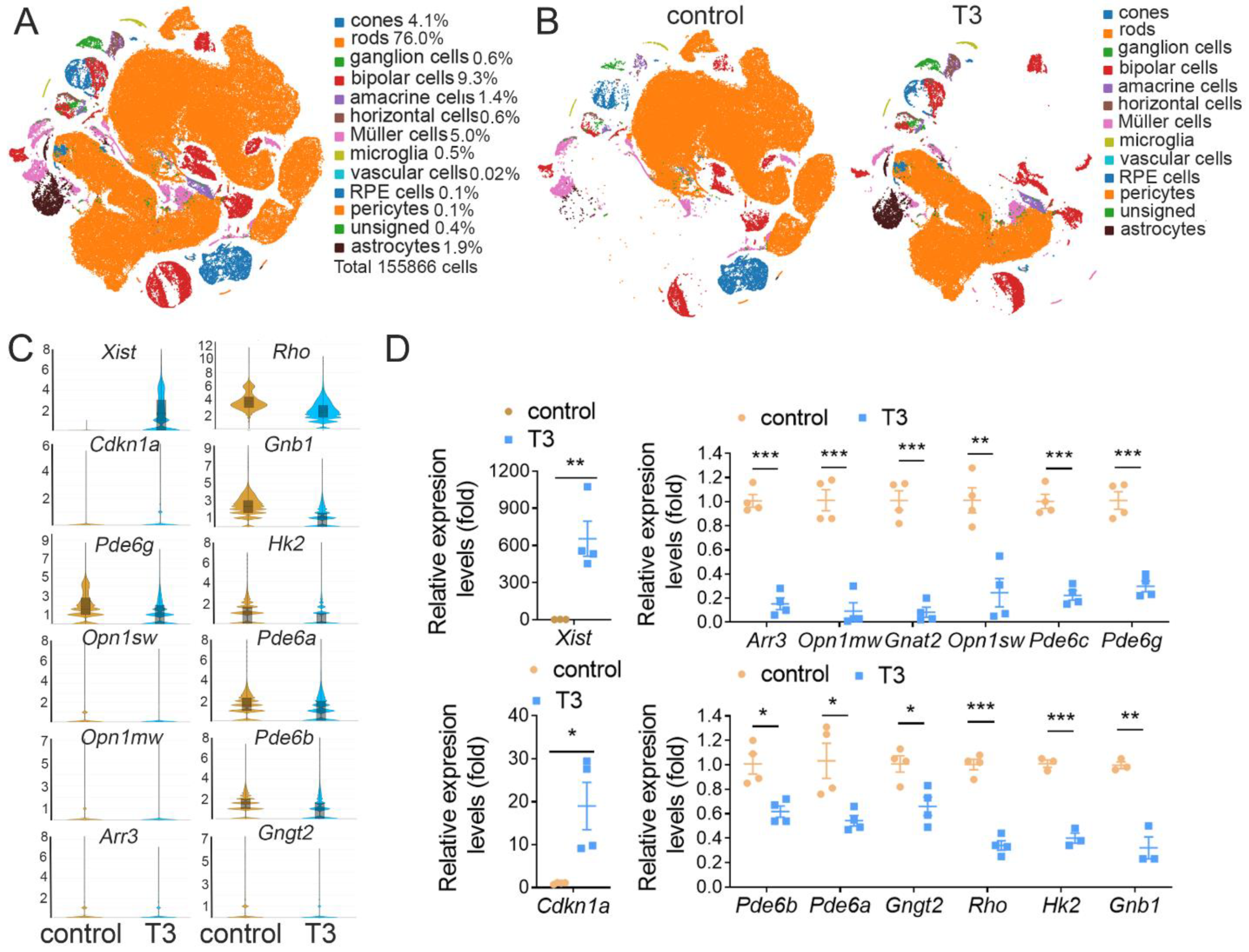 Ijms 25 07435 g001 Ijms 25 07435 g001