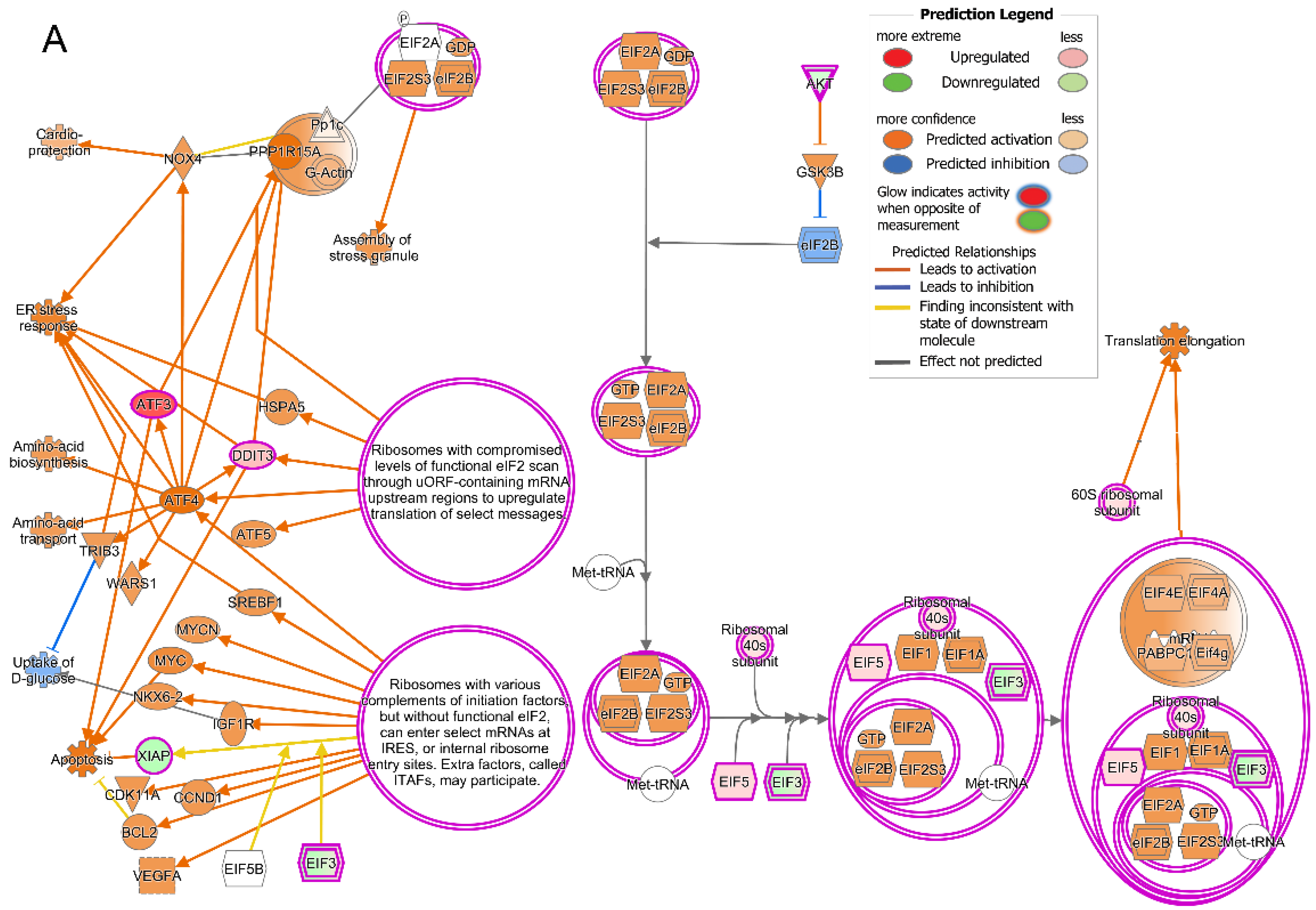 Ijms 25 07435 g006a Ijms 25 07435 g006a