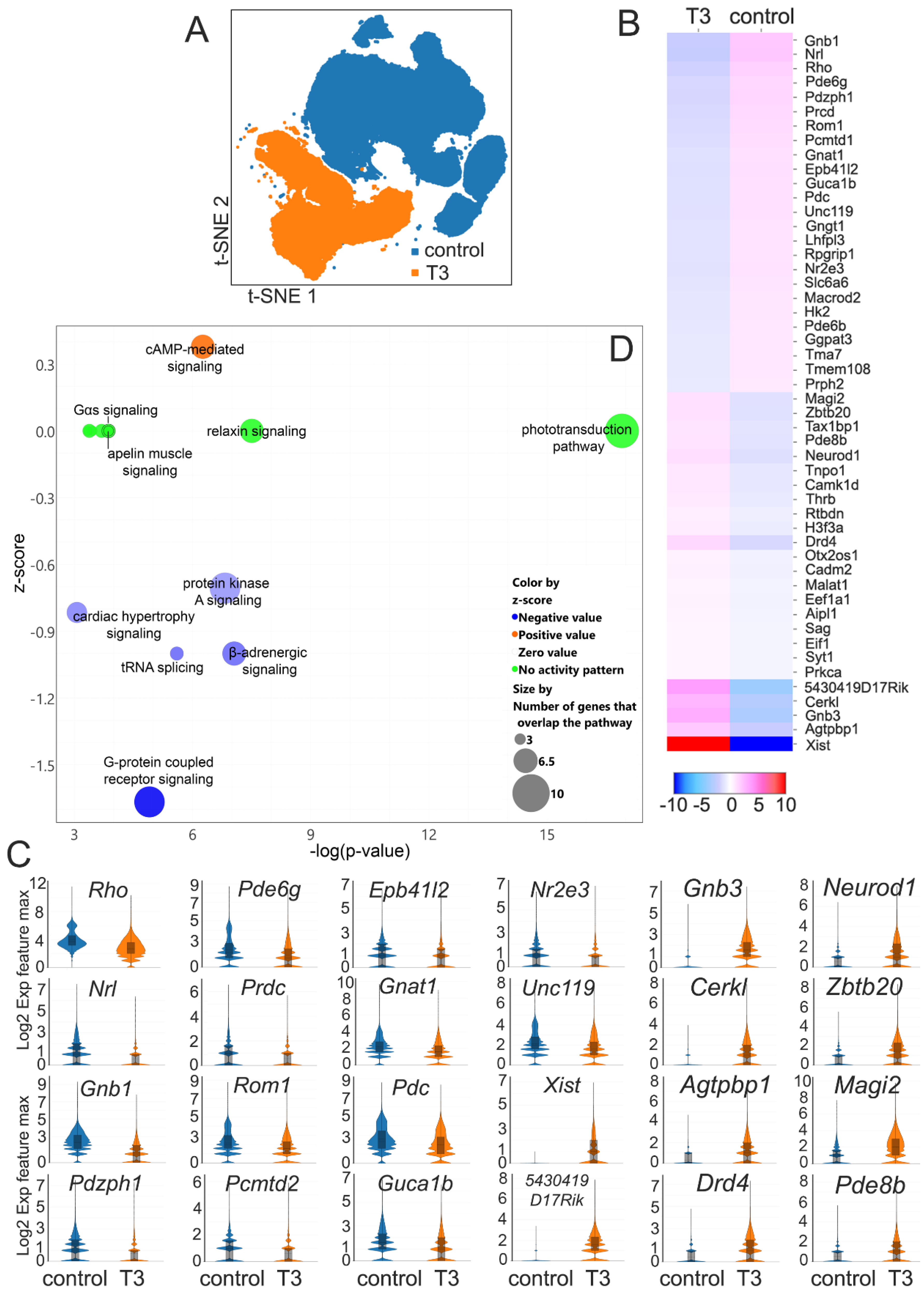 Ijms 25 07435 g007 Ijms 25 07435 g007