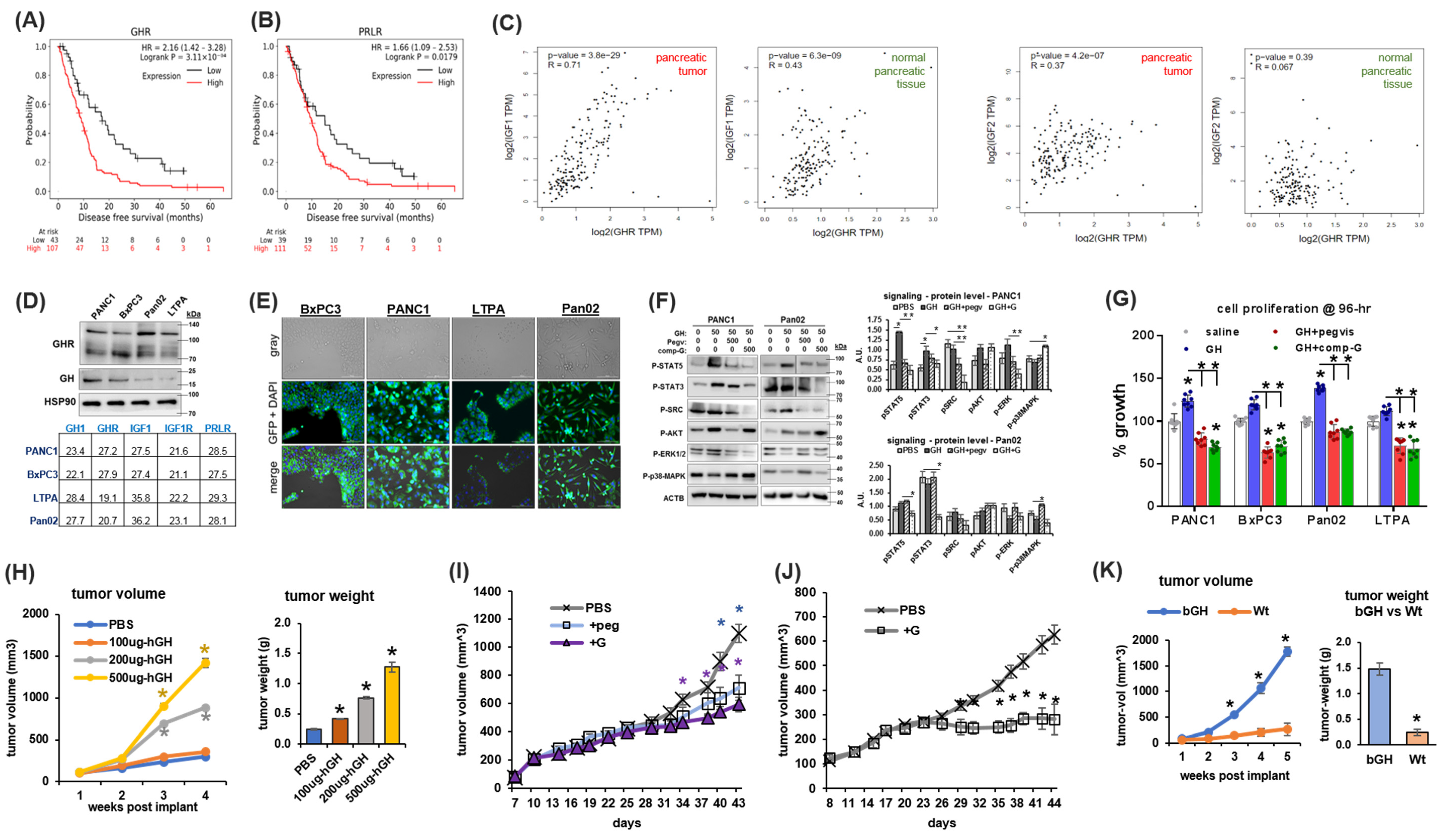 Ijms 25 07438 g001 Ijms 25 07438 g001