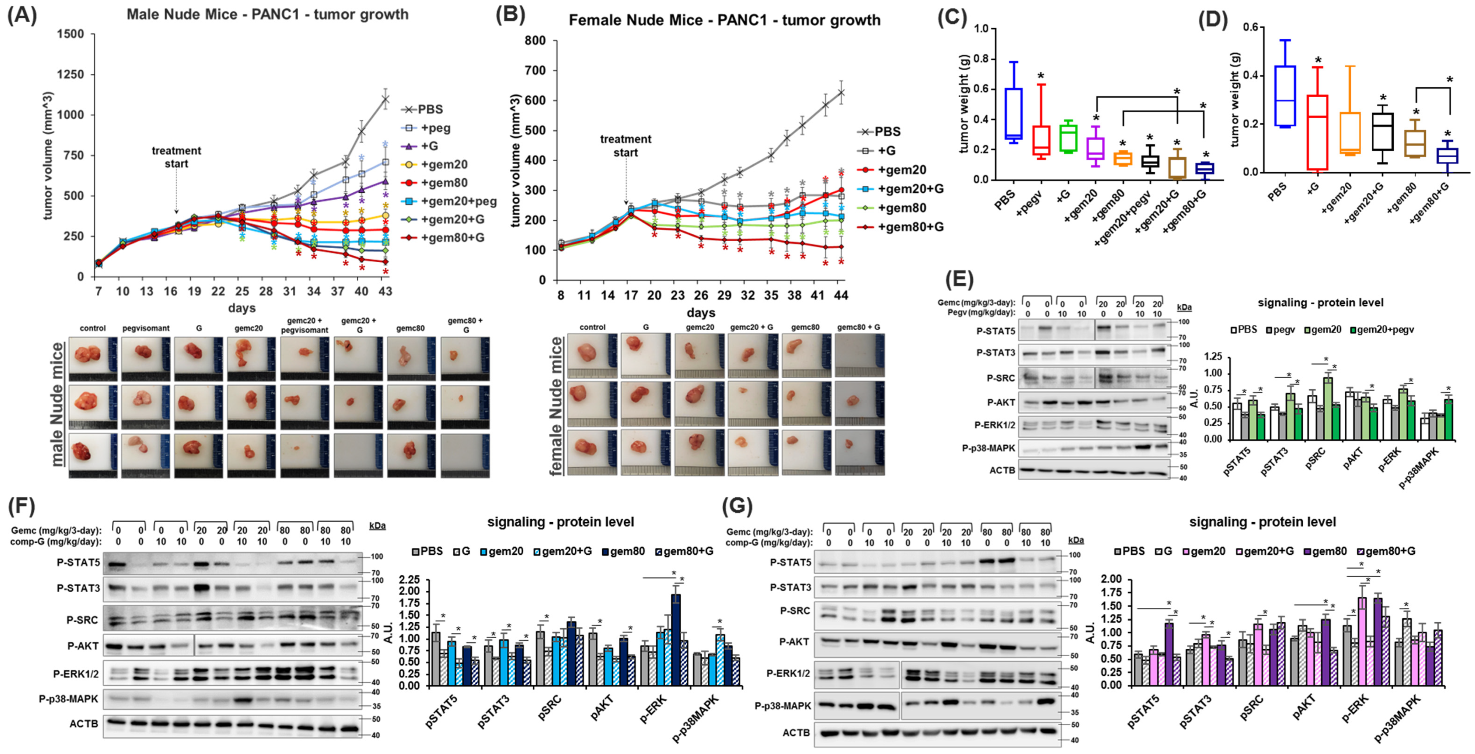 Ijms 25 07438 g002 Ijms 25 07438 g002