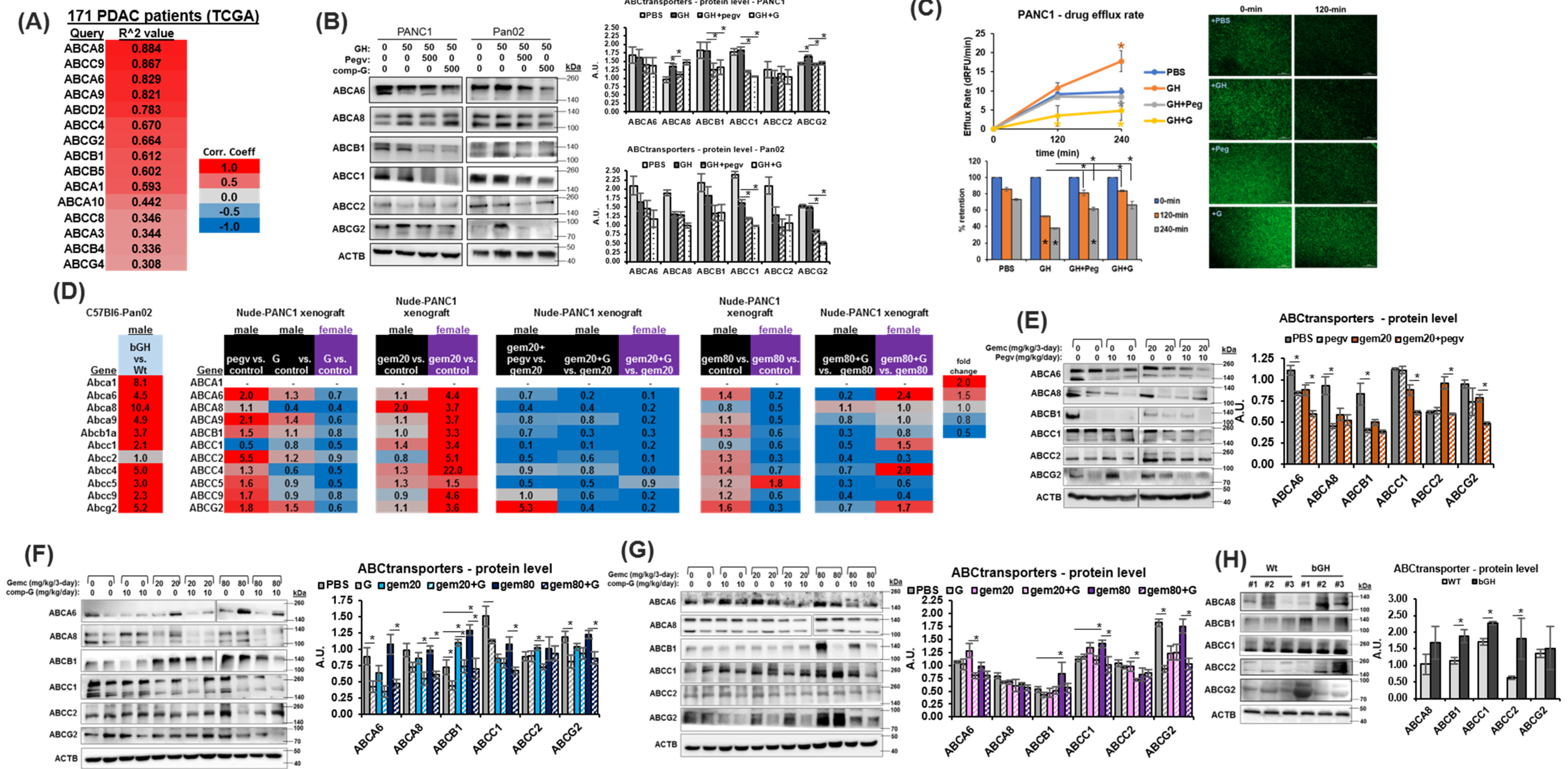 Ijms 25 07438 g003 Ijms 25 07438 g003