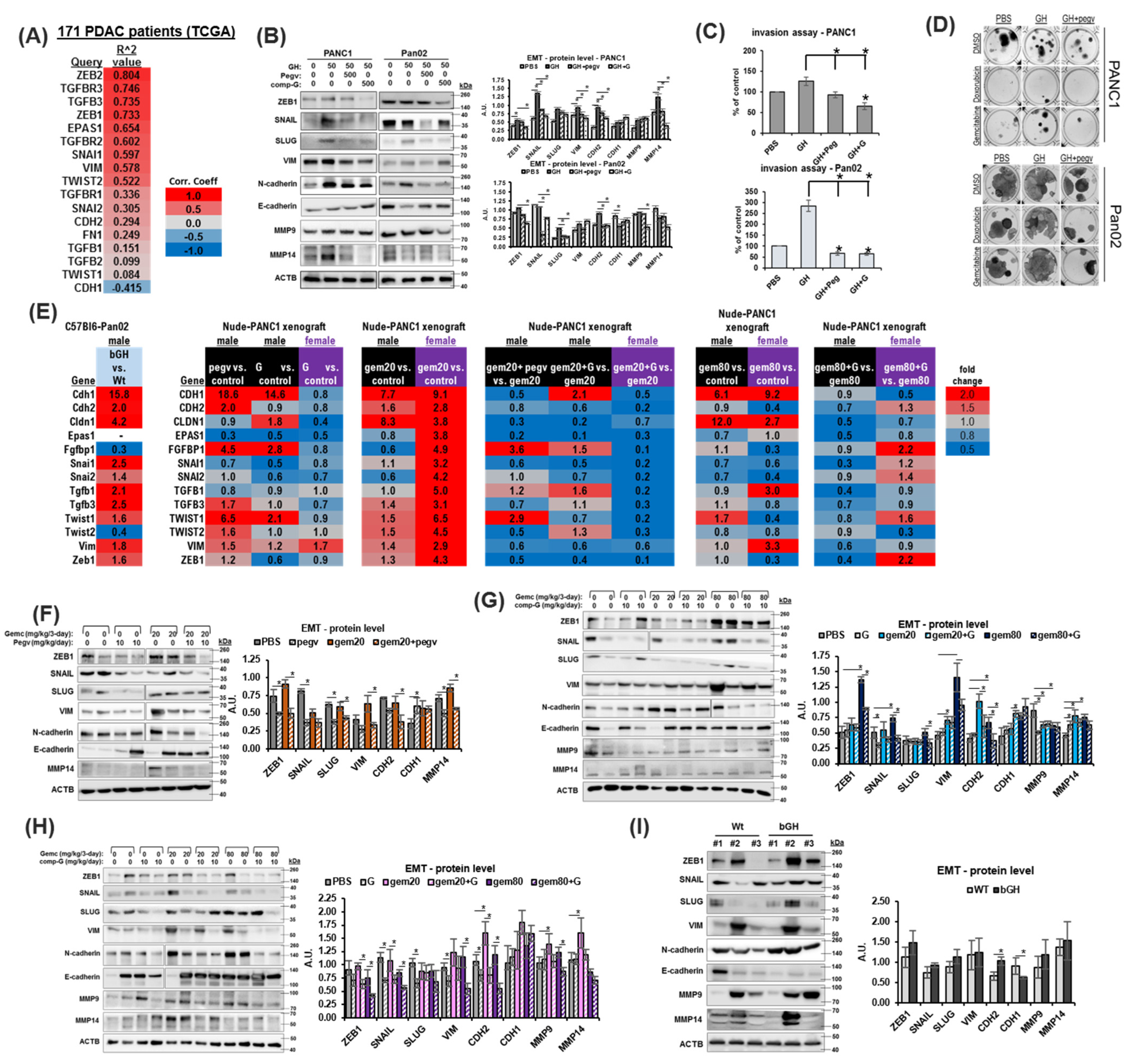 Ijms 25 07438 g004 Ijms 25 07438 g004
