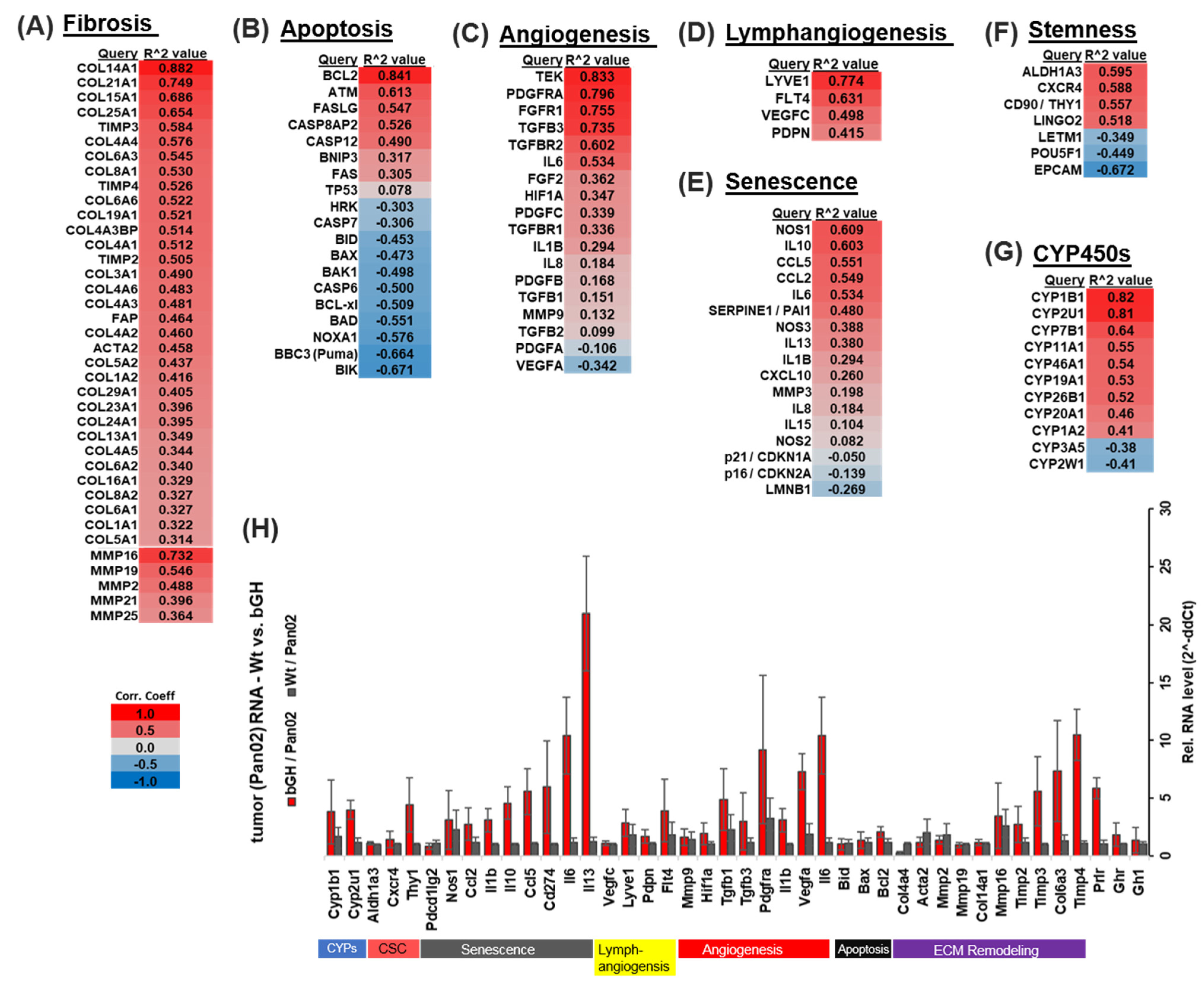 Ijms 25 07438 g005 Ijms 25 07438 g005