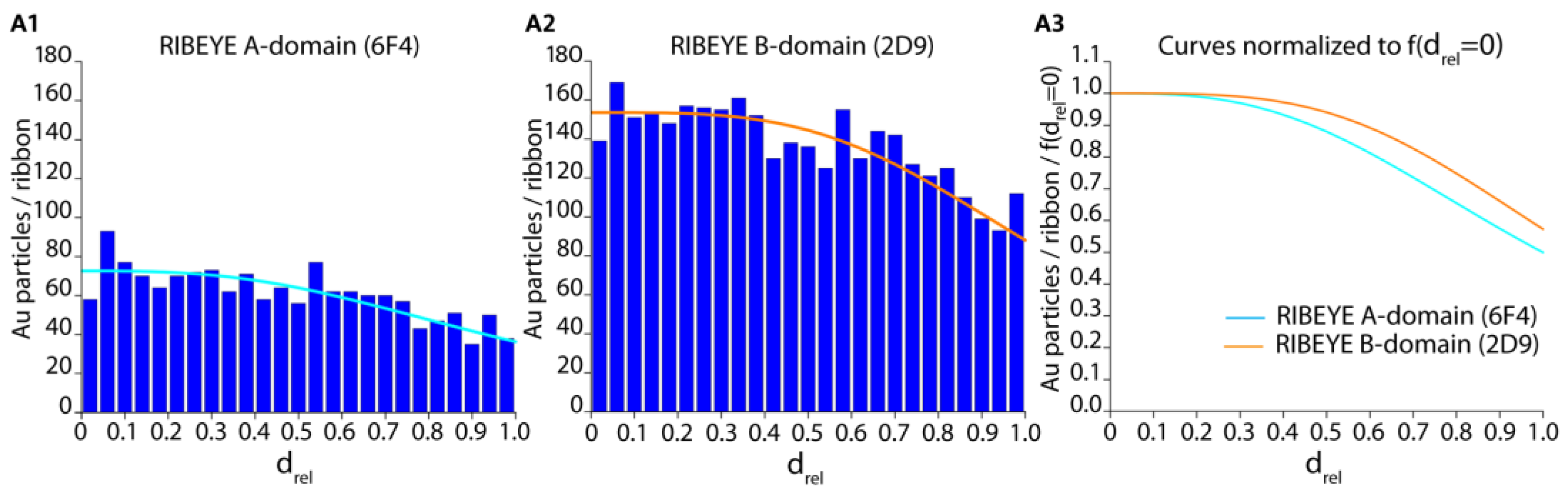 Ijms 25 07443 g005 Ijms 25 07443 g005