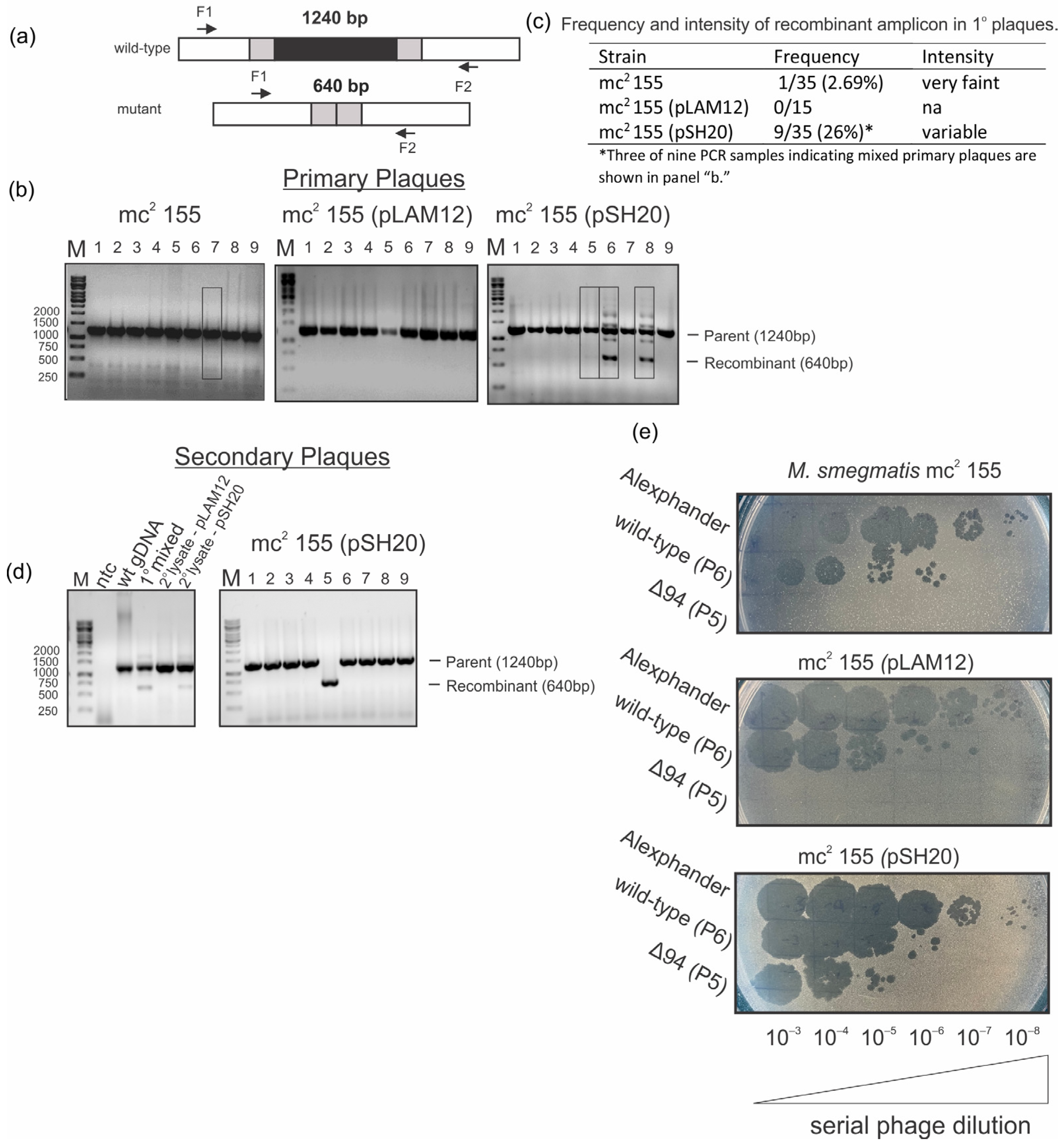 Ijms 25 07466 g003 Ijms 25 07466 g003