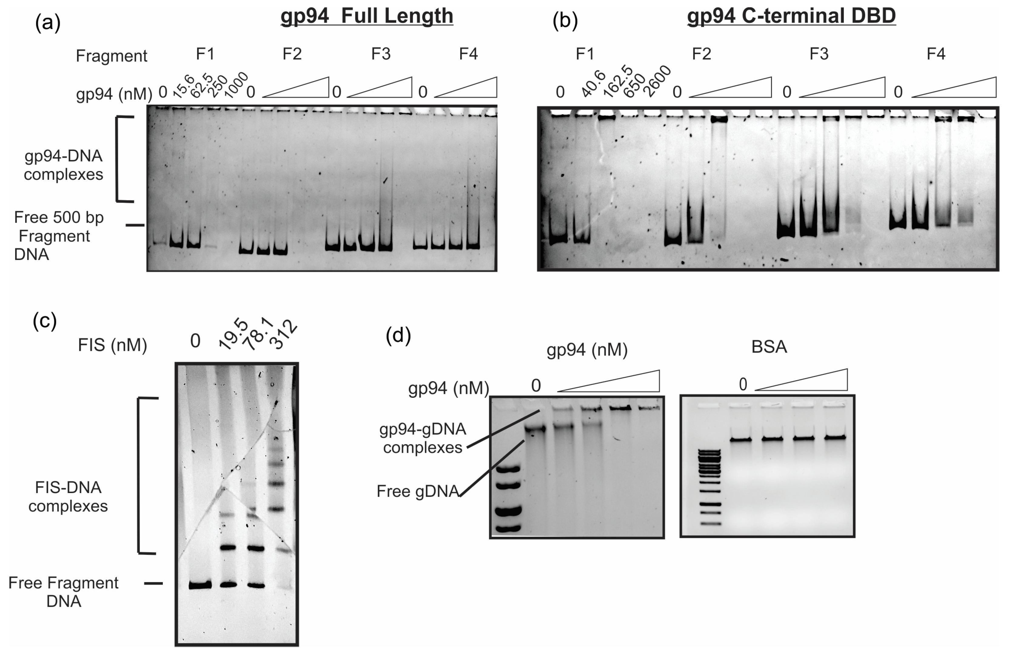 Ijms 25 07466 g005 Ijms 25 07466 g005