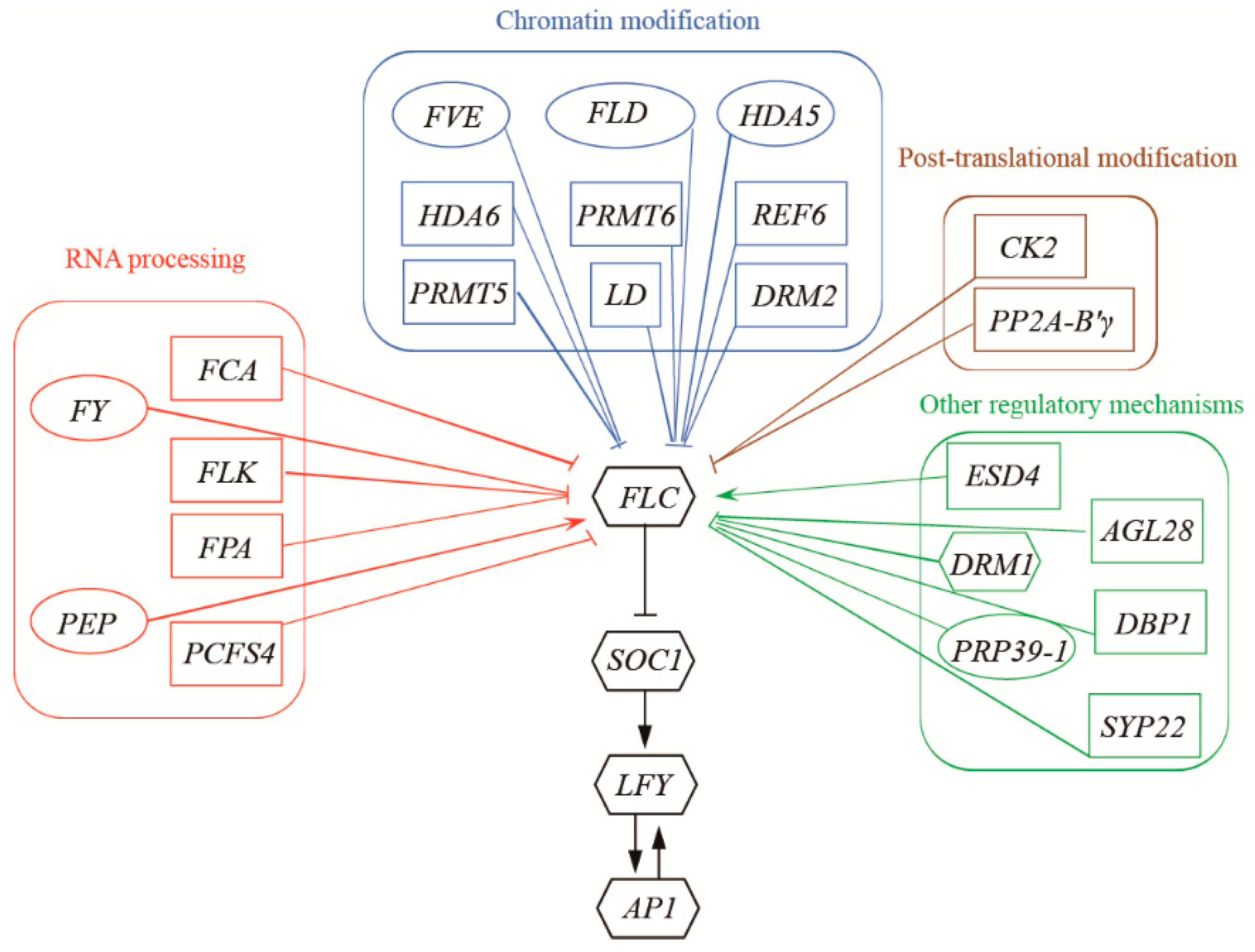 Ijms 25 07478 g001 Ijms 25 07478 g001