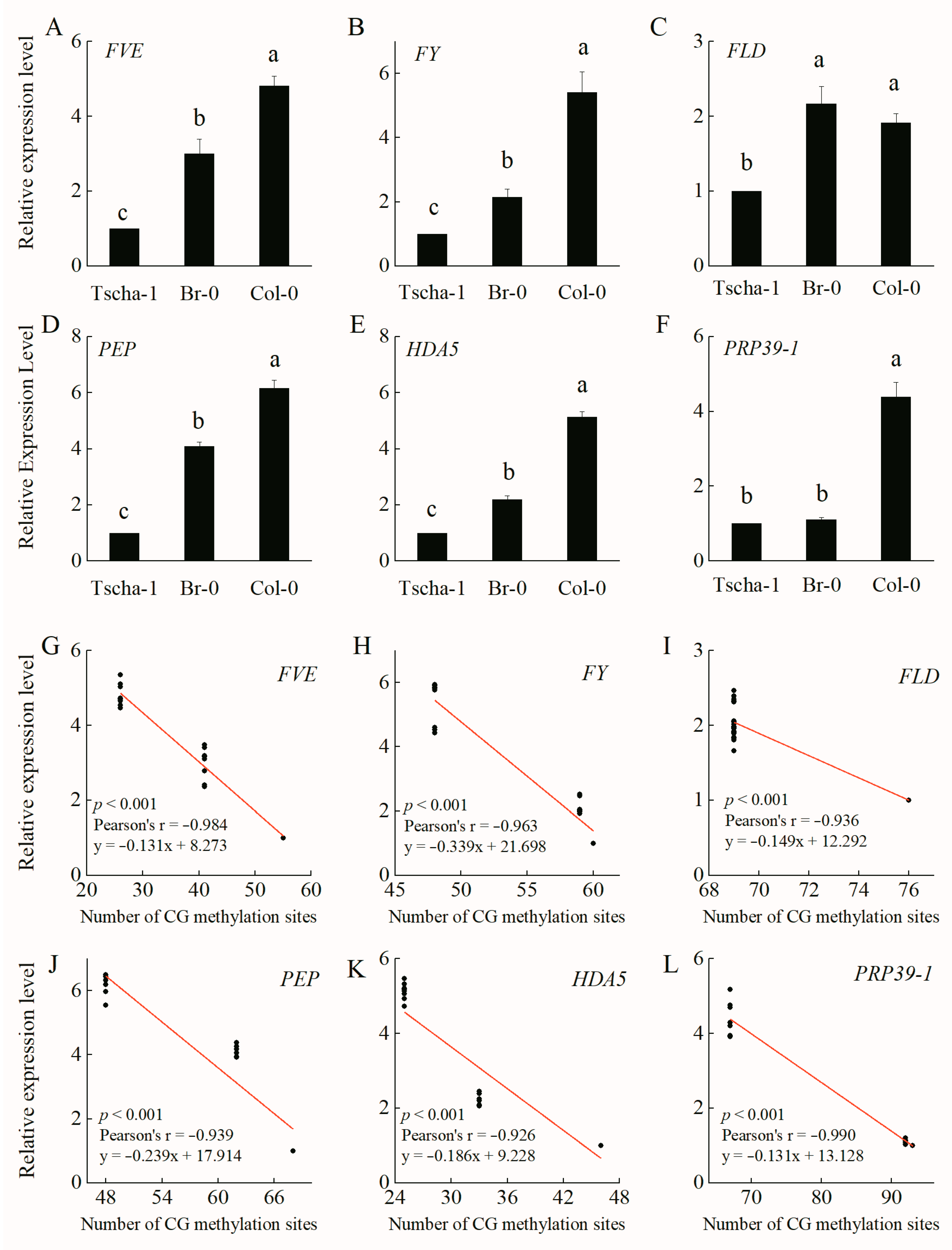 Ijms 25 07478 g003 Ijms 25 07478 g003