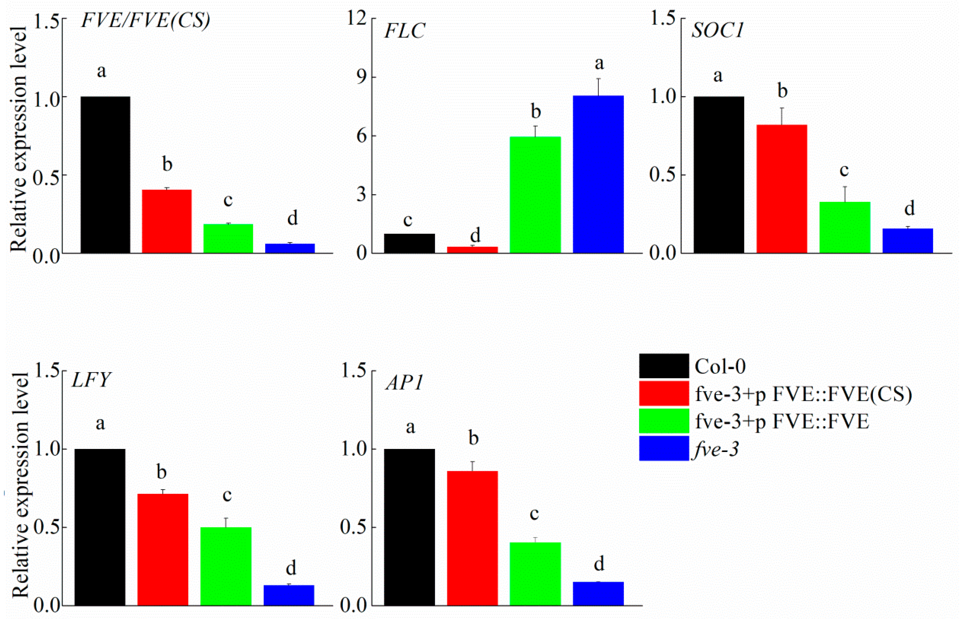 Ijms 25 07478 g005 Ijms 25 07478 g005
