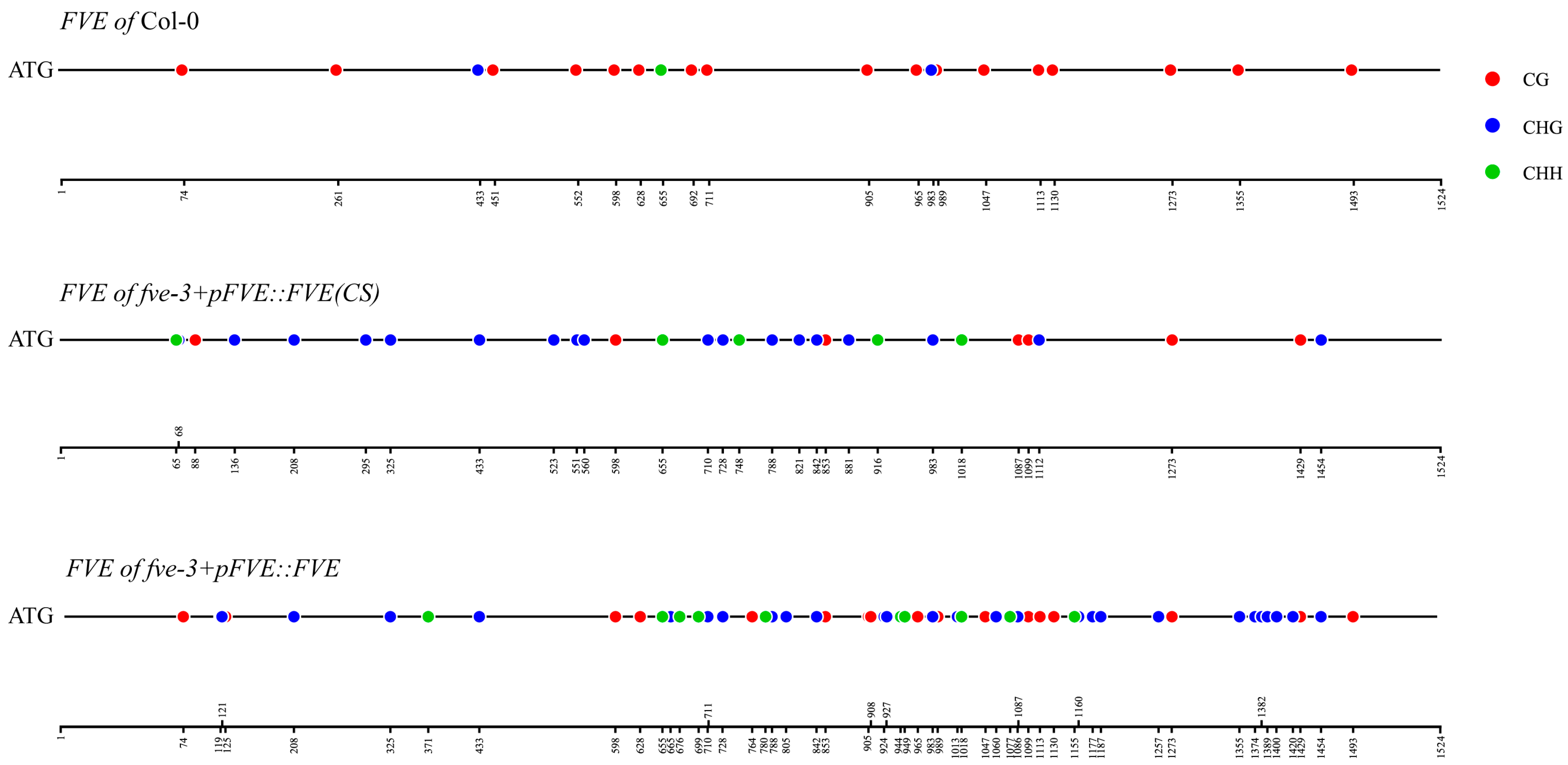 Ijms 25 07478 g006 Ijms 25 07478 g006