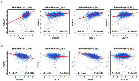 Metformin Prevents Tumor Cell Growth and Invasion of Human Hormone