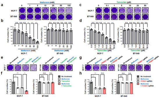 Metformin Prevents Tumor Cell Growth and Invasion of Human